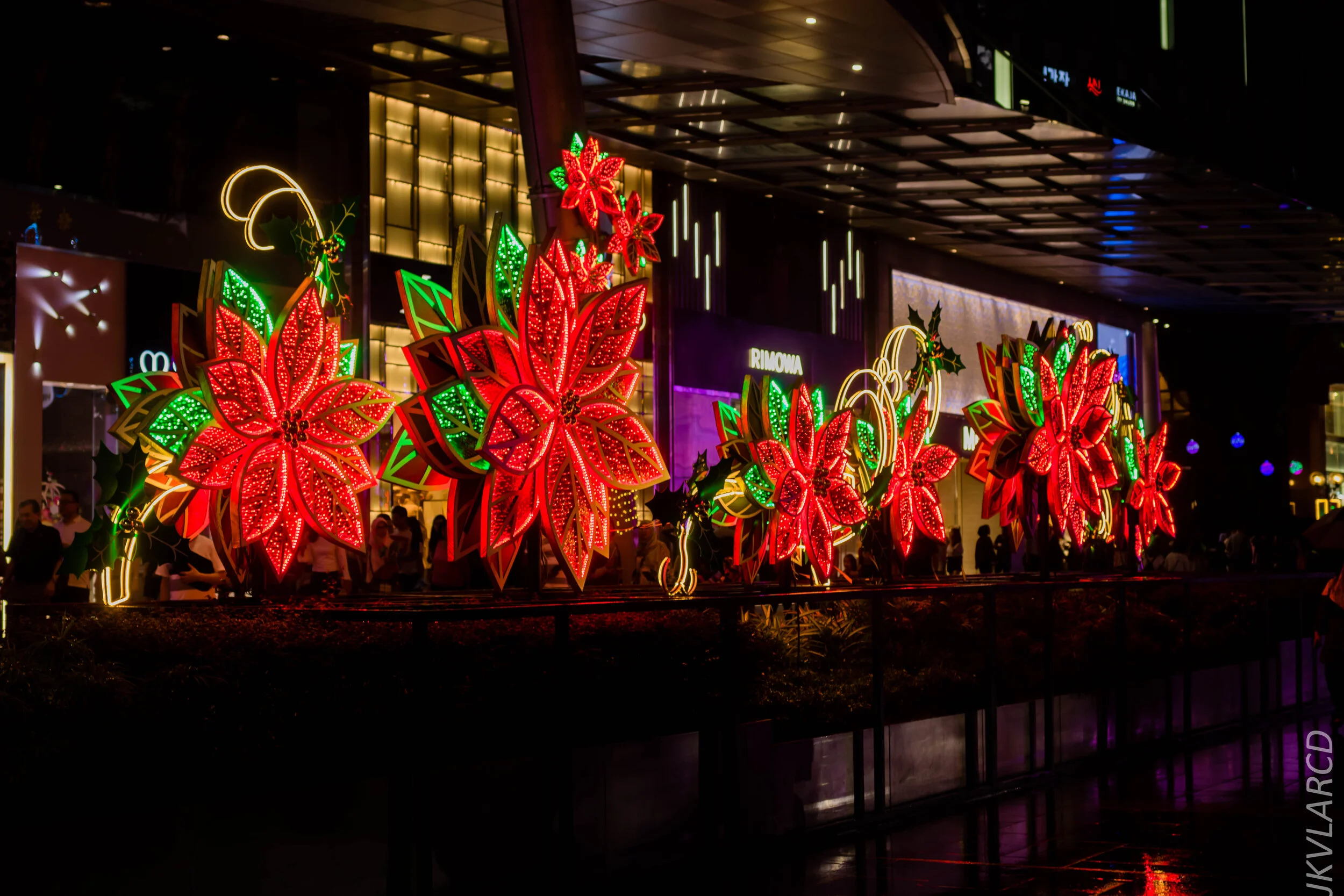 EOS 7D Mark II_2019_12_14_8979.jpg