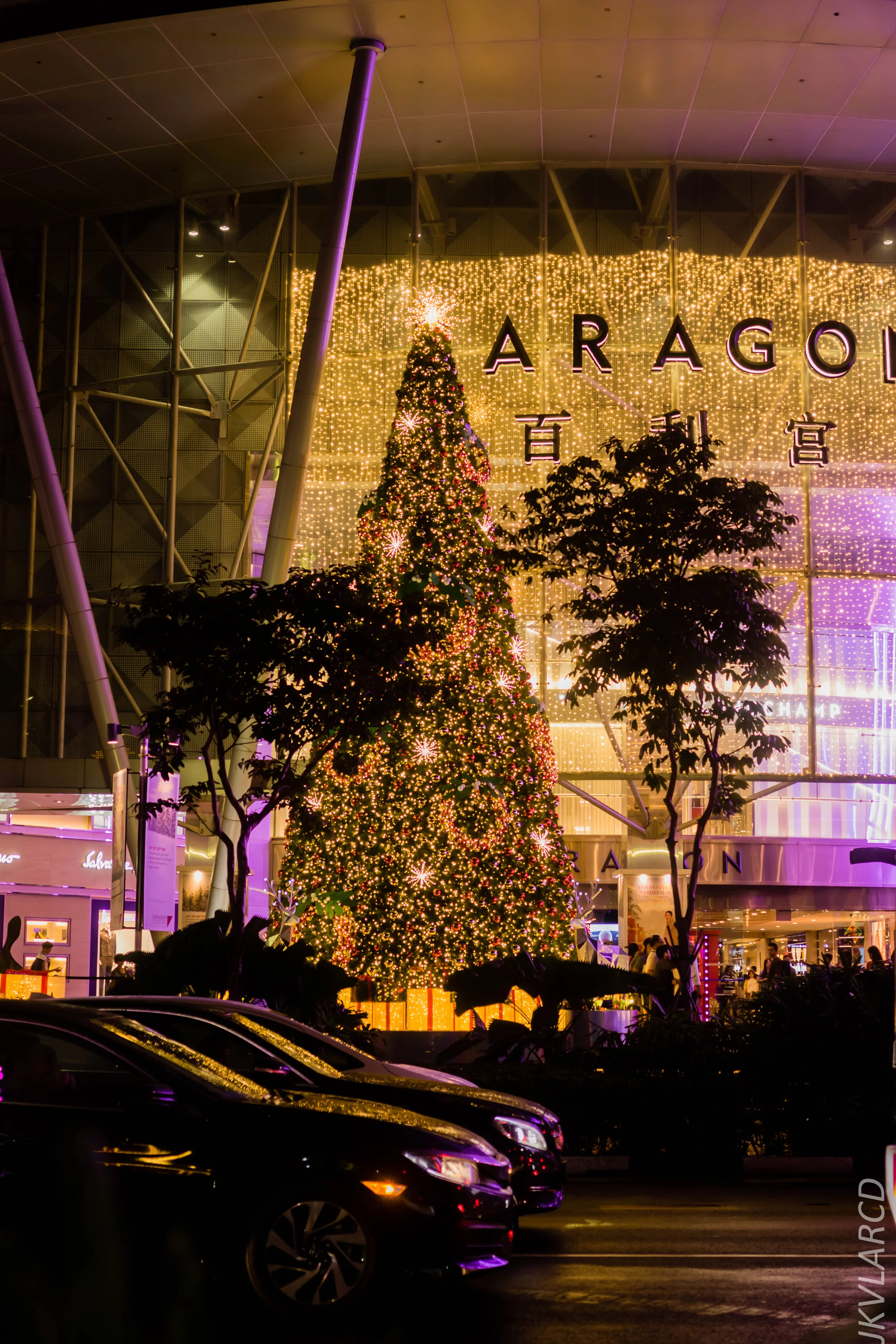 EOS 7D Mark II_2019_12_14_8980.jpg