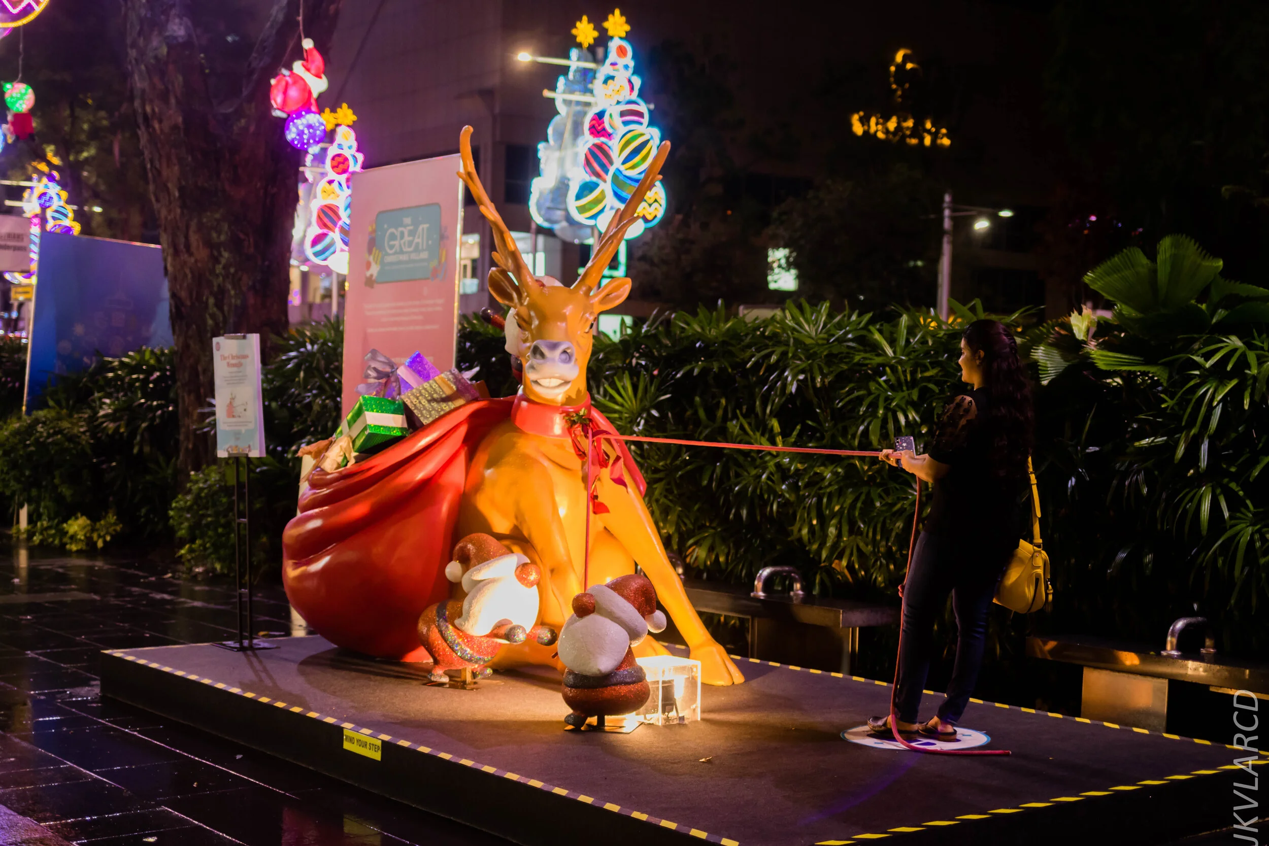 EOS 7D Mark II_2019_12_14_8984.jpg