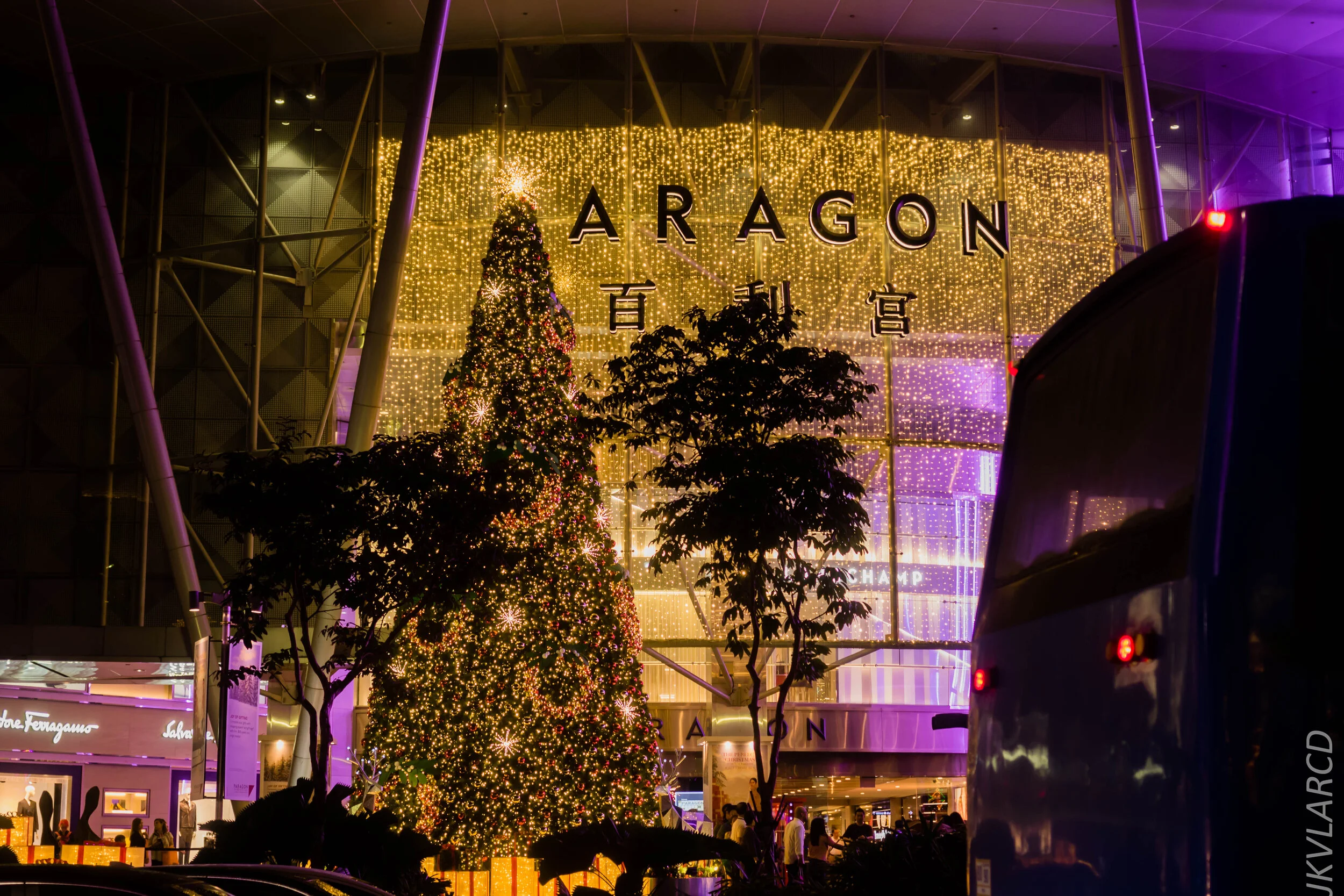 EOS 7D Mark II_2019_12_14_8983.jpg