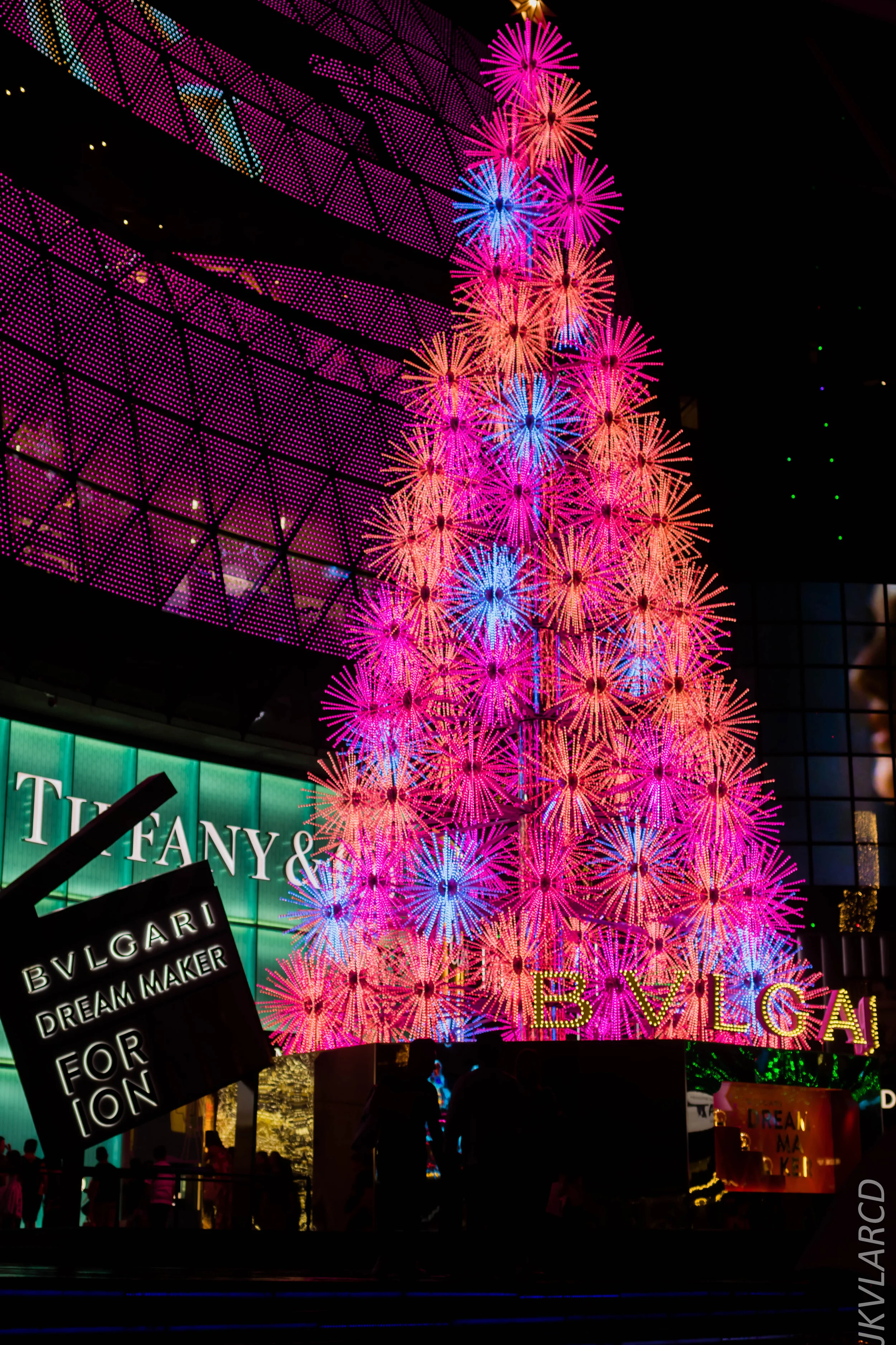 EOS 7D Mark II_2019_12_14_8995.jpg