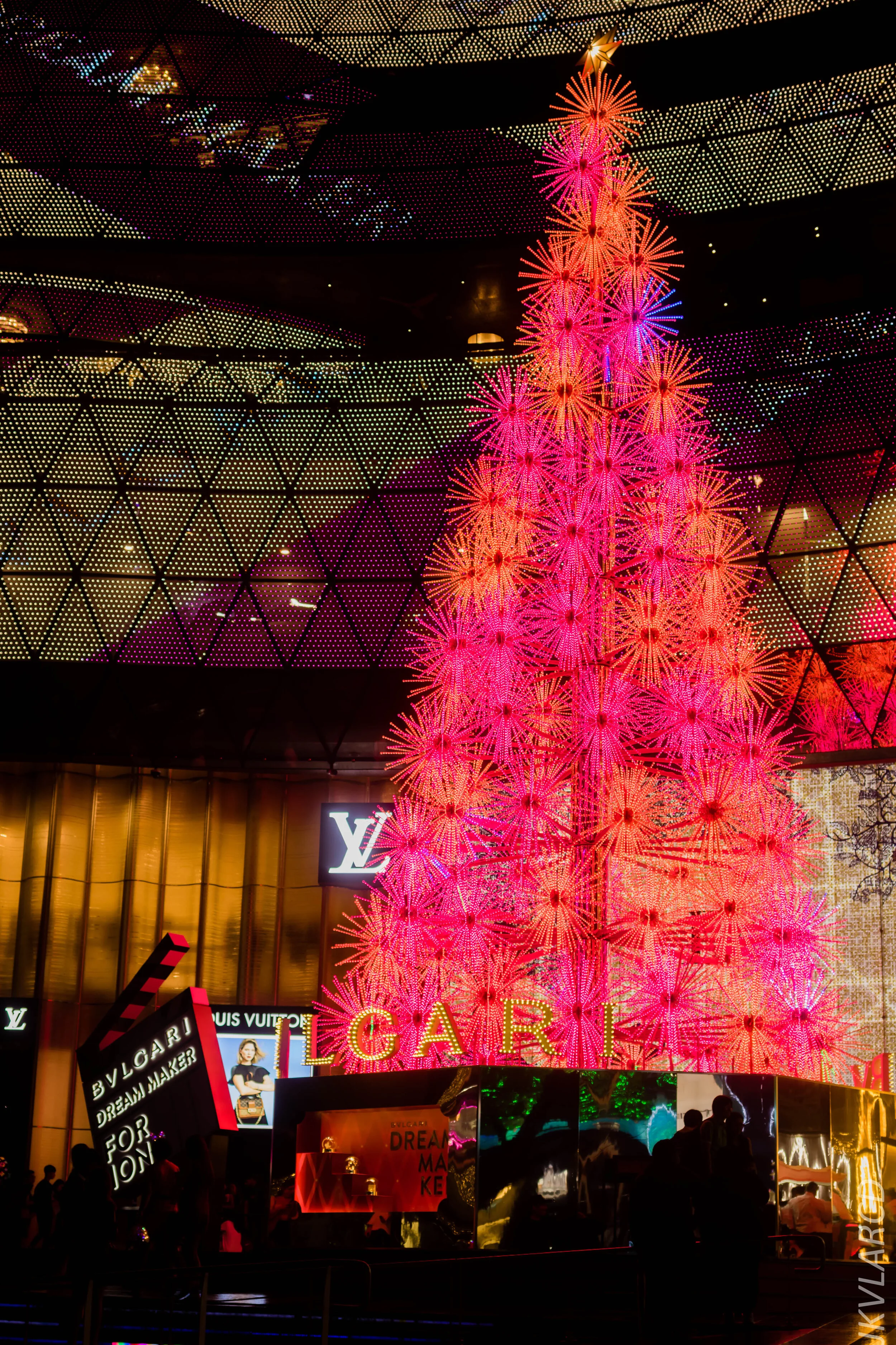 EOS 7D Mark II_2019_12_14_8998.jpg