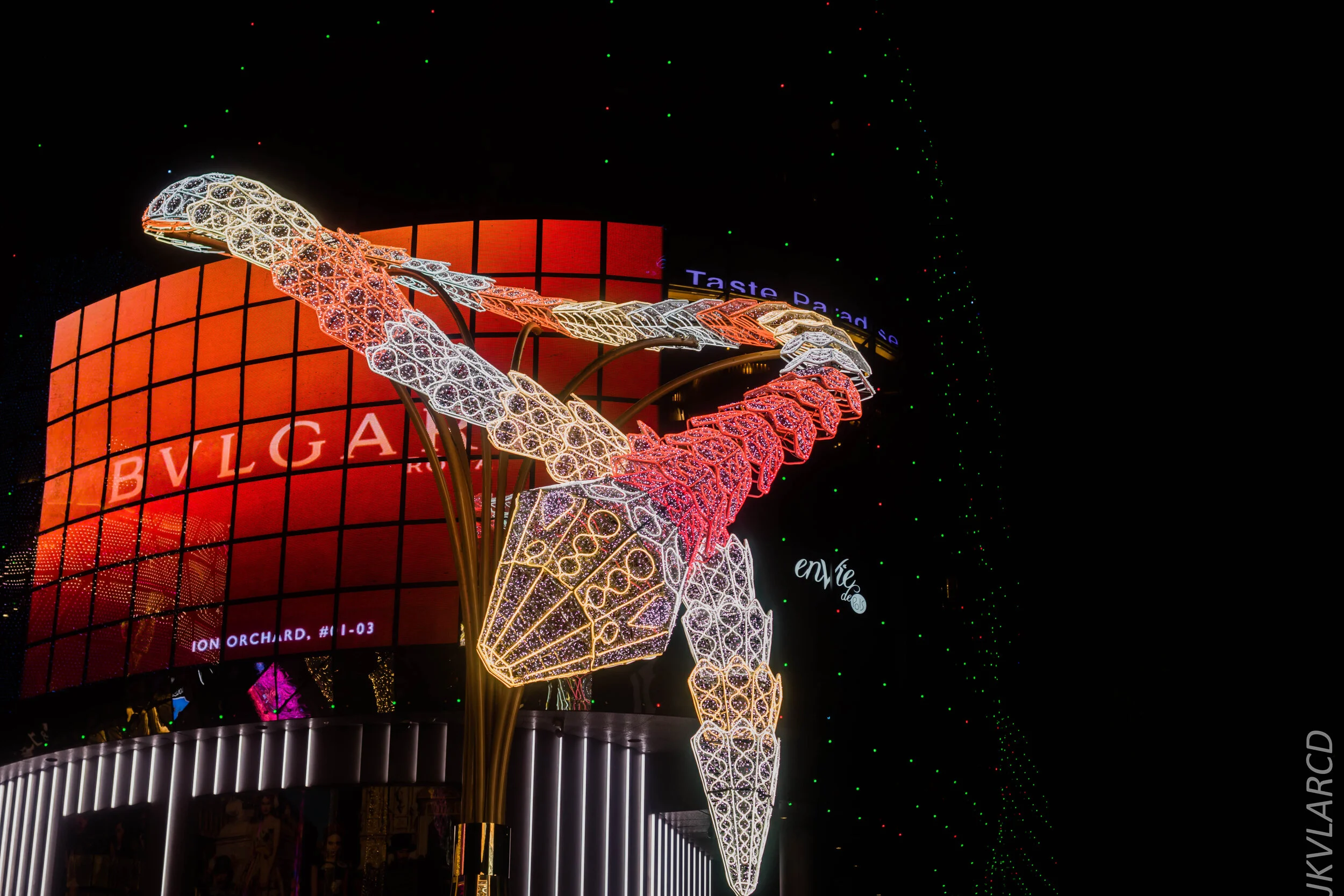 EOS 7D Mark II_2019_12_14_8999.jpg