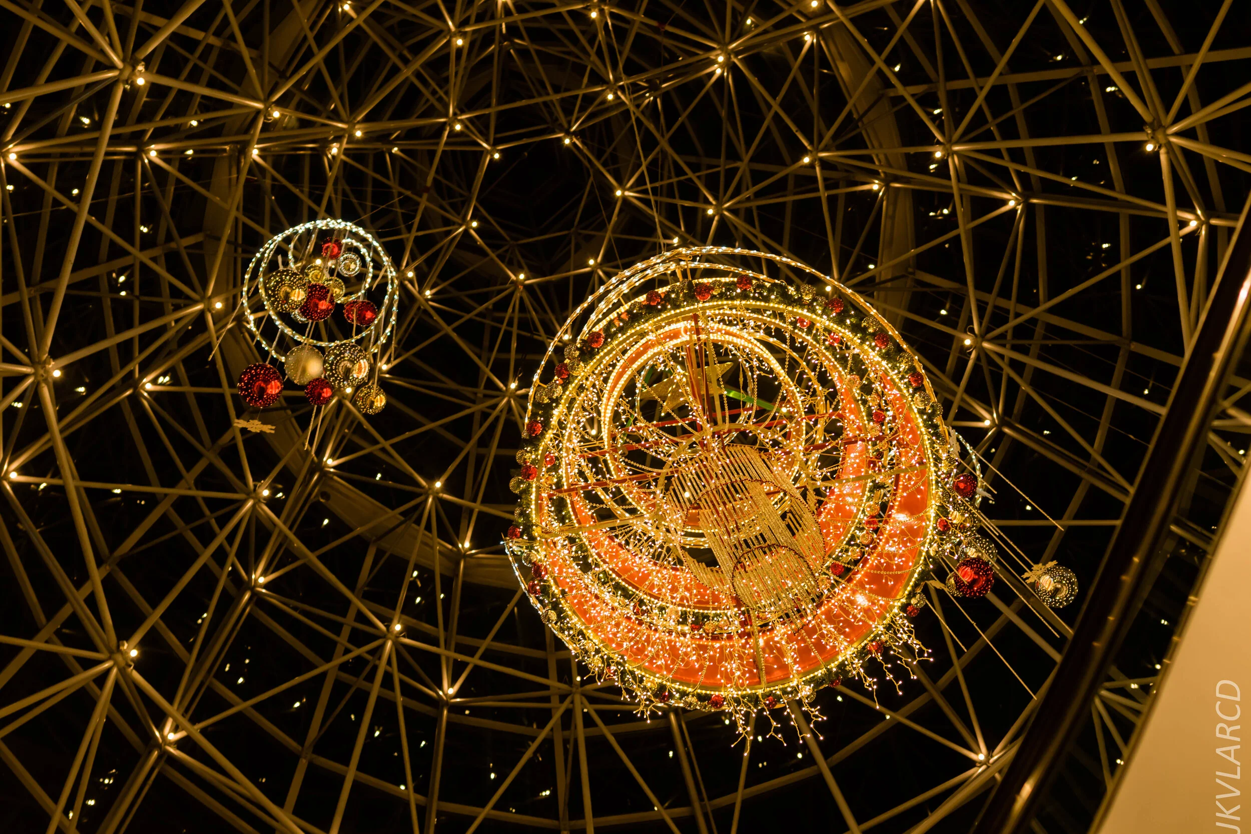 EOS 7D Mark II_2019_12_14_9002.jpg