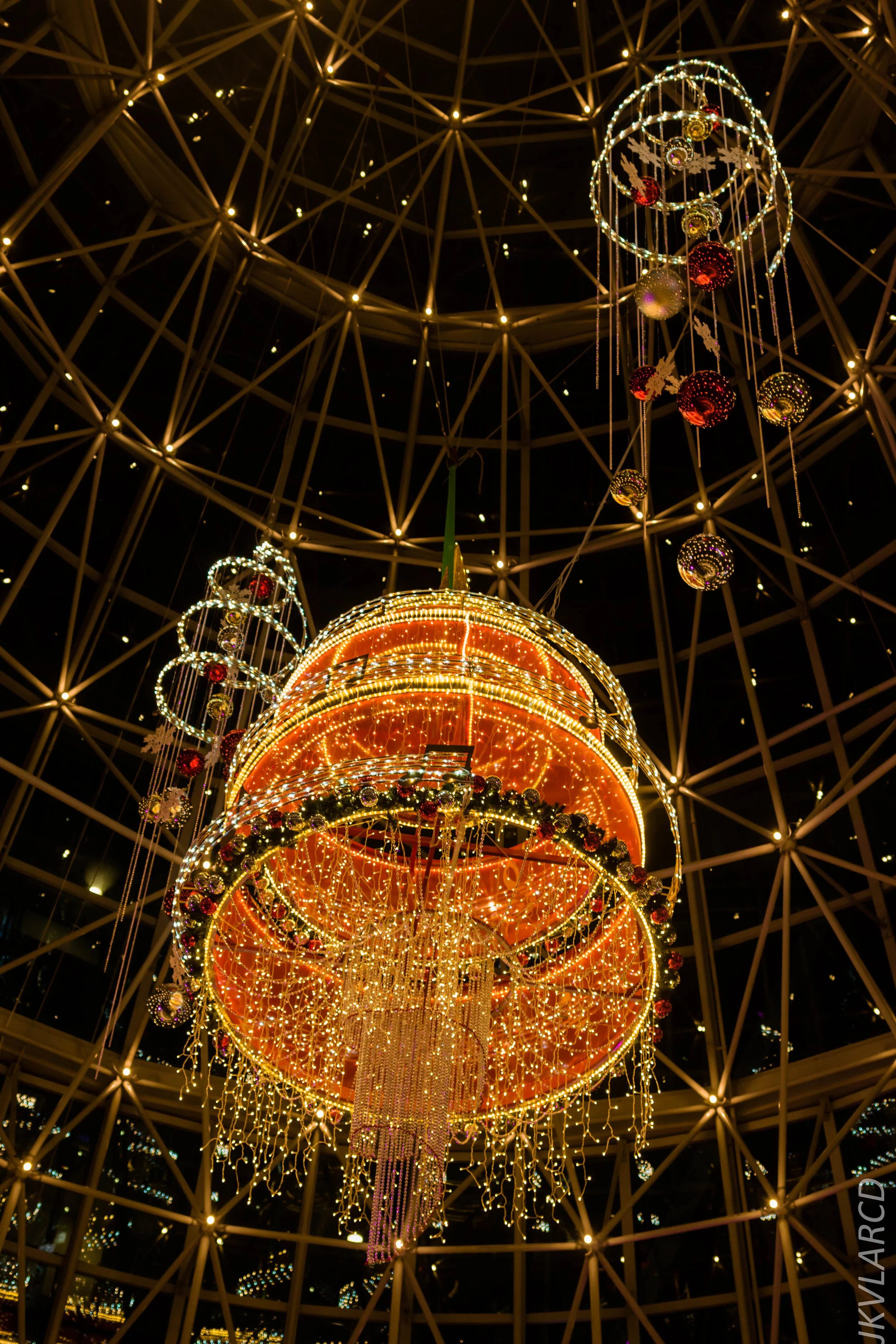 EOS 7D Mark II_2019_12_14_9004.jpg