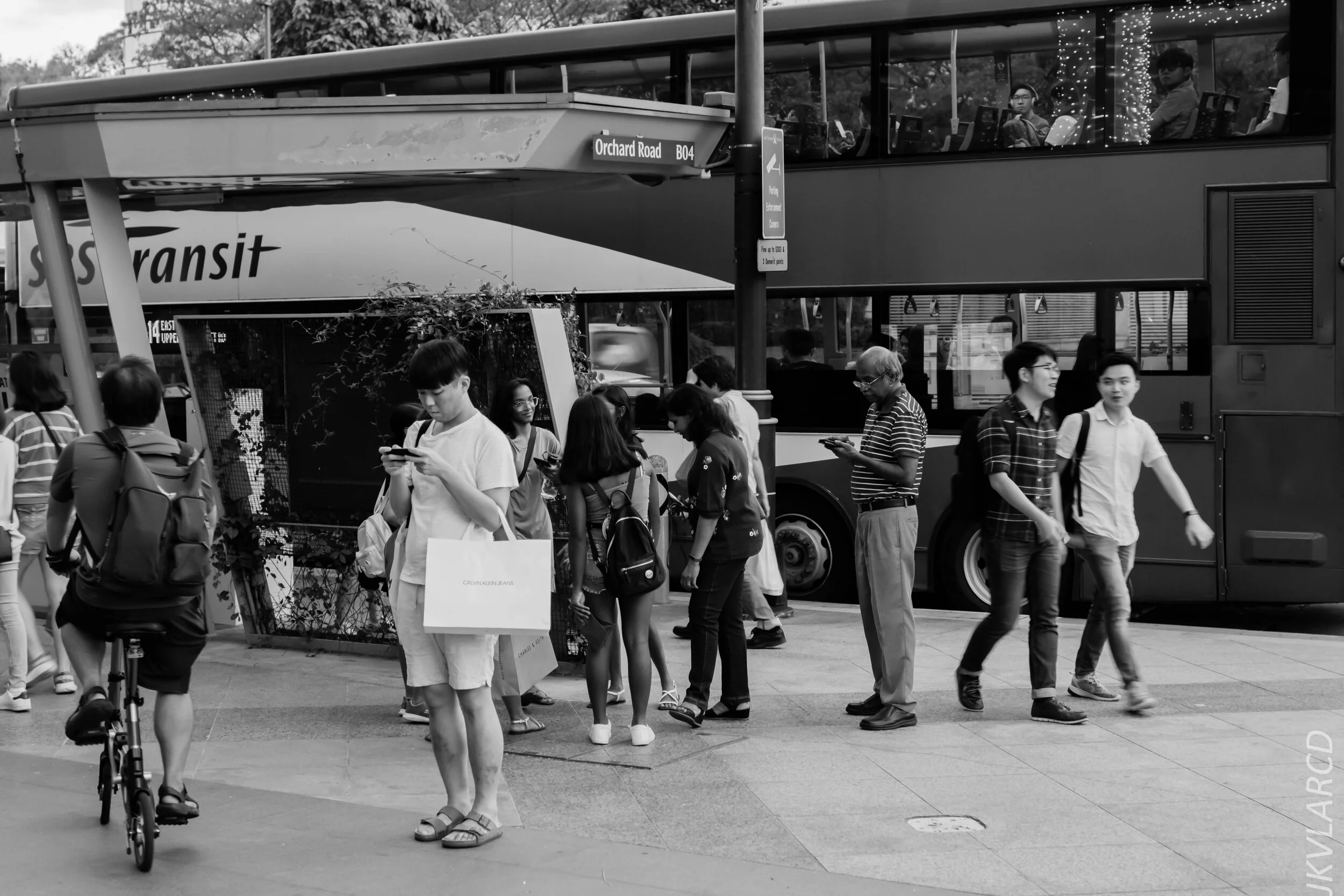 EOS 7D Mark II_2019_12_27_9054.jpg