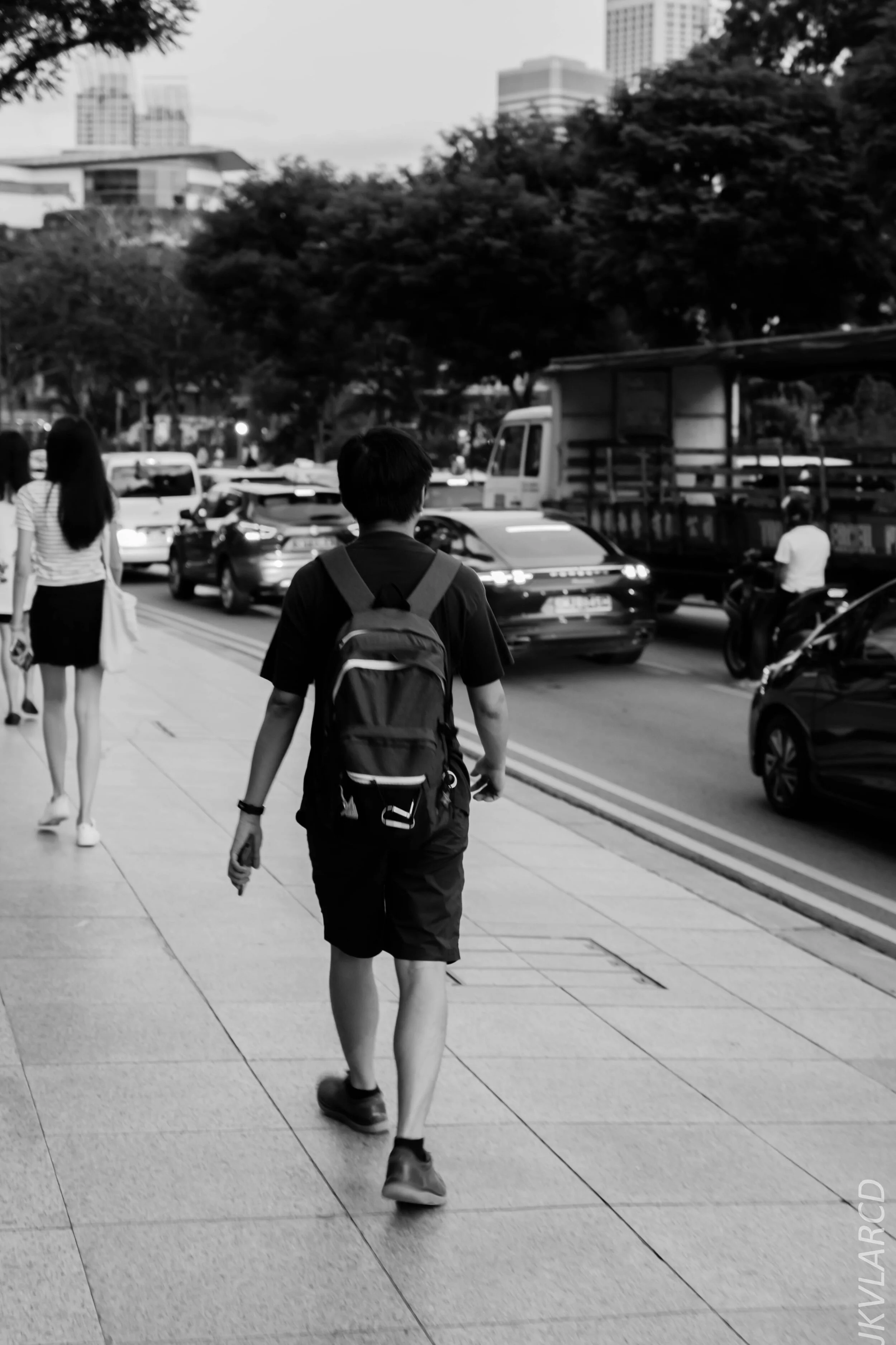 EOS 7D Mark II_2019_12_27_9060.jpg