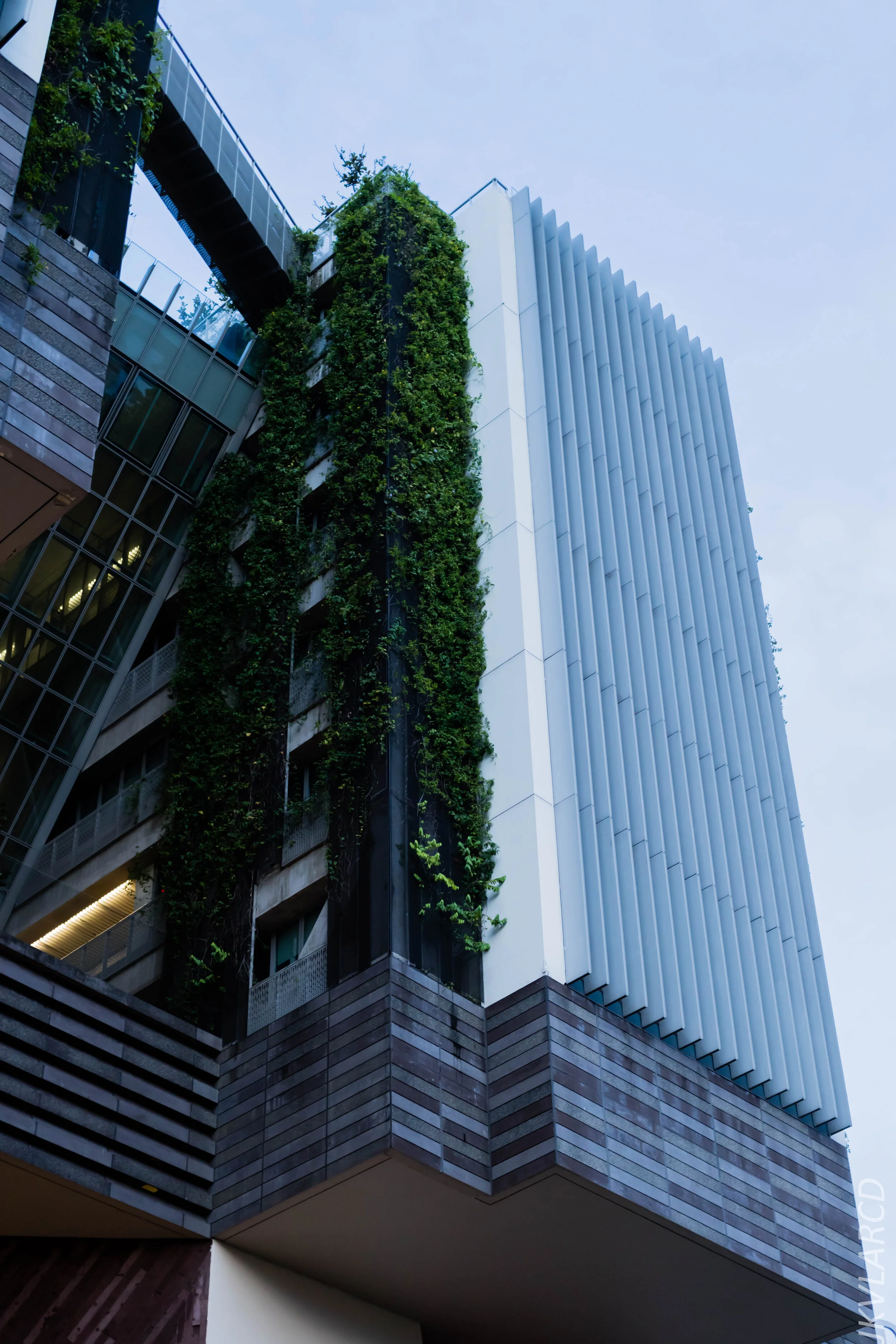 EOS 7D Mark II_2019_12_27_9061.jpg