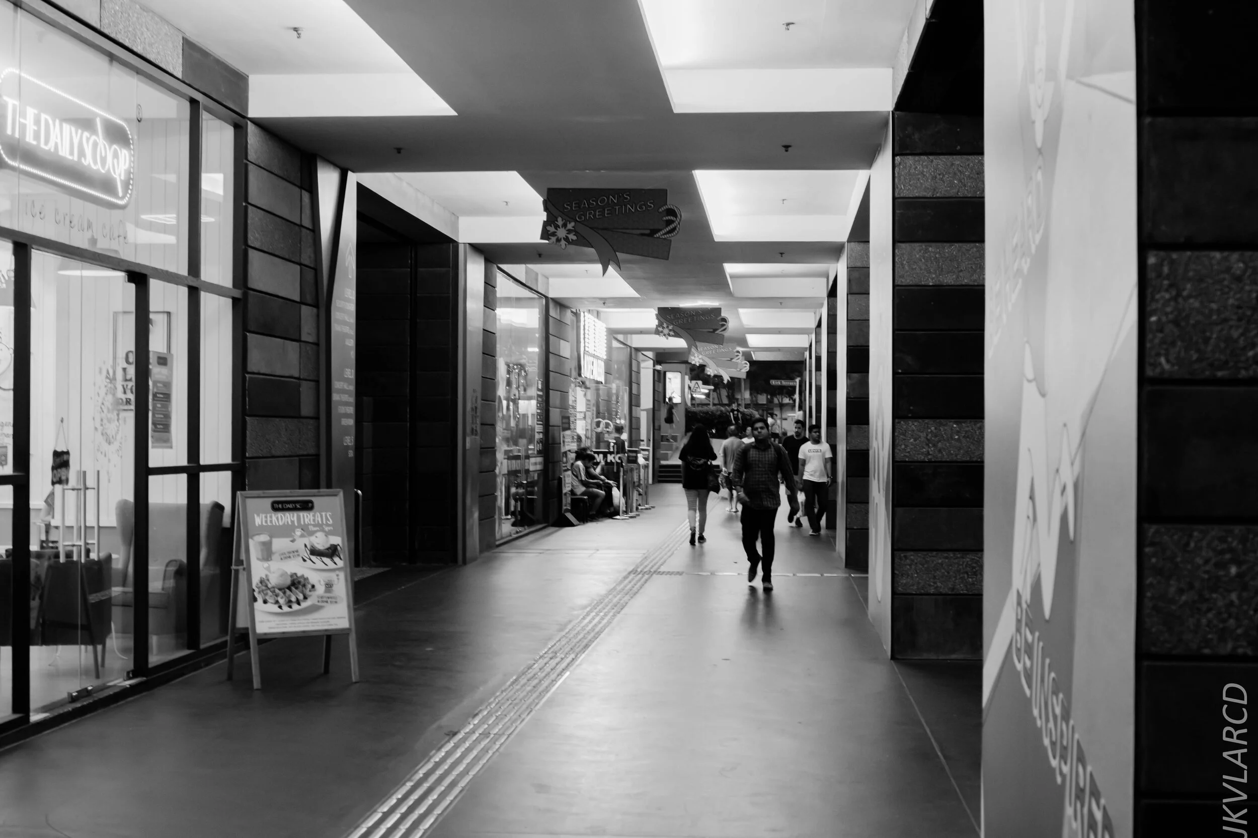 EOS 7D Mark II_2019_12_27_9063.jpg