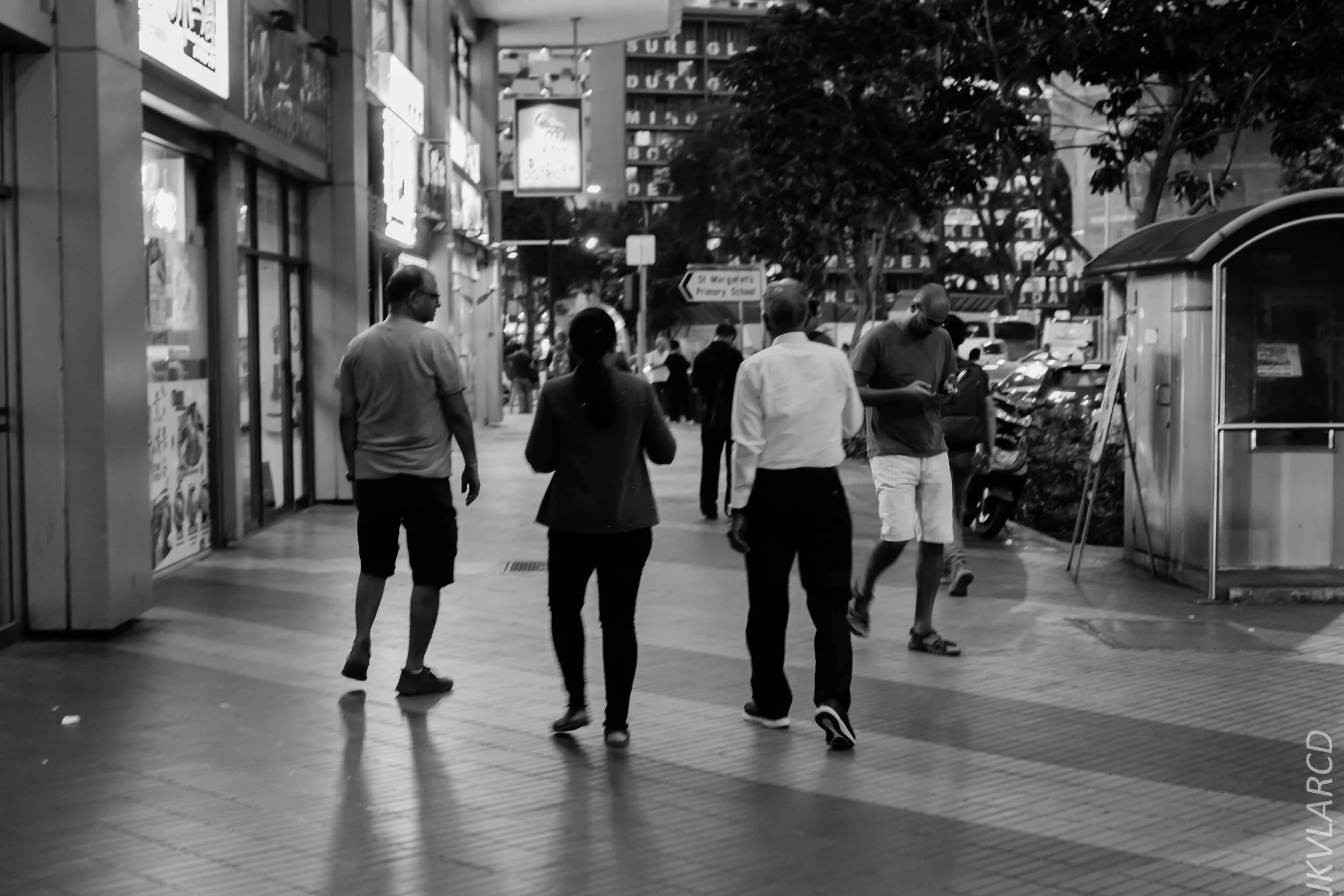 EOS 7D Mark II_2019_12_27_9068.jpg