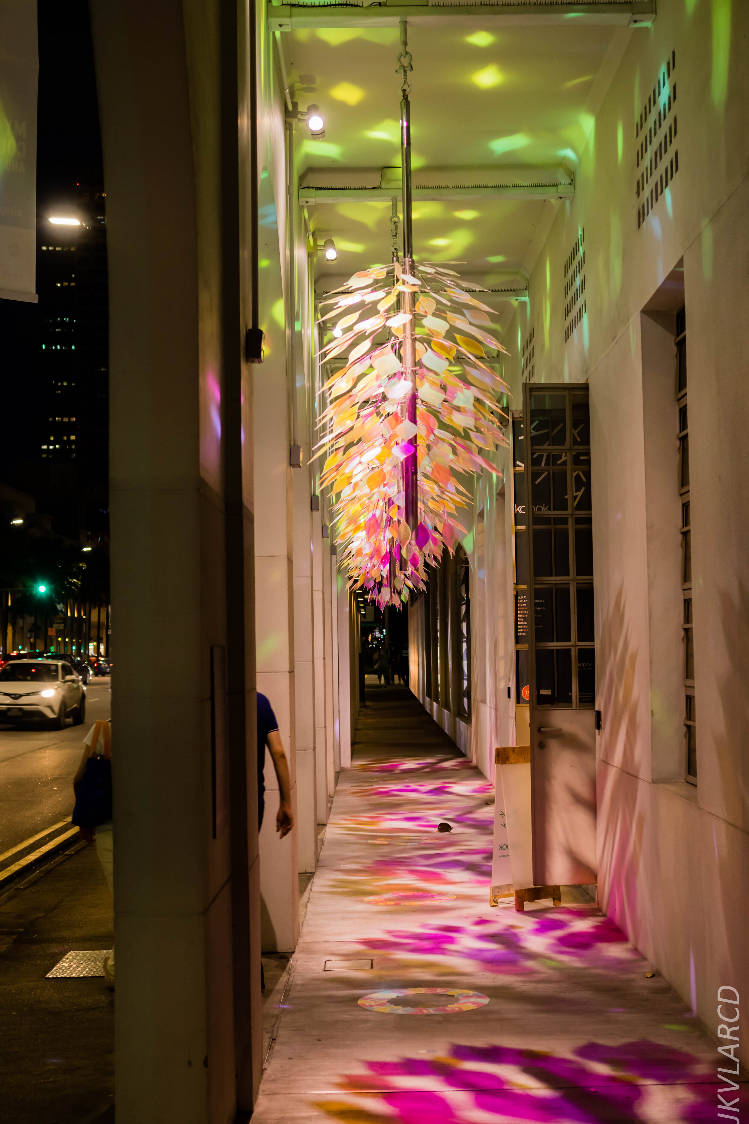 EOS 7D Mark II_2019_12_27_9080.jpg