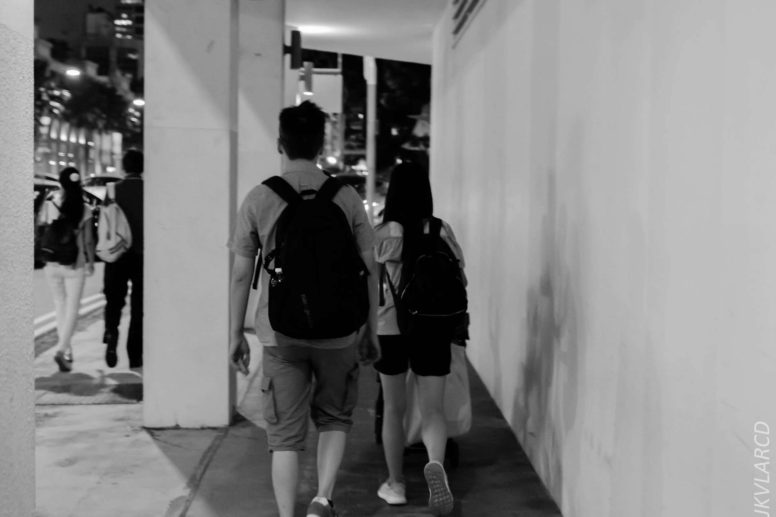 EOS 7D Mark II_2019_12_27_9082.jpg