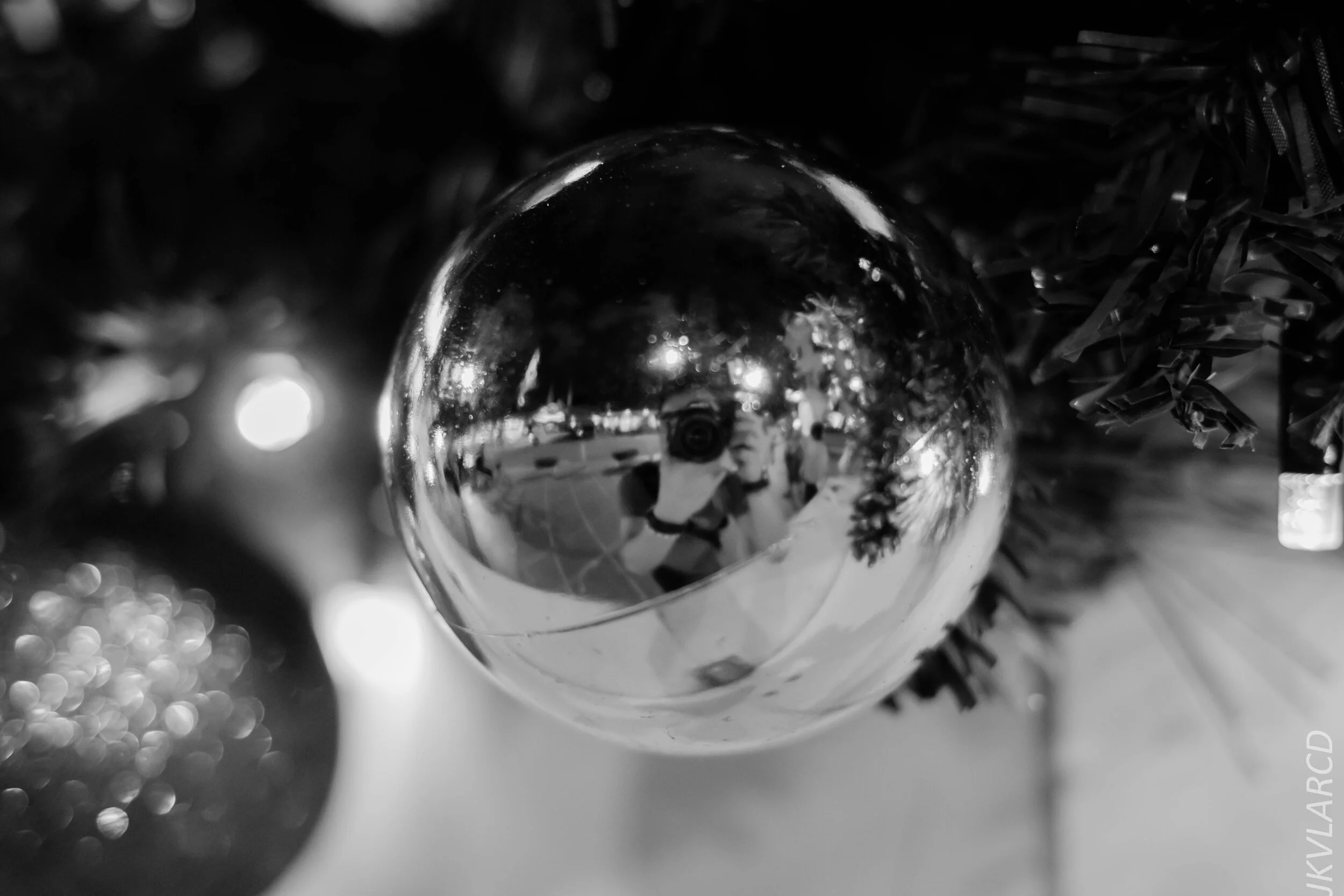 EOS 7D Mark II_2019_12_27_9088.jpg