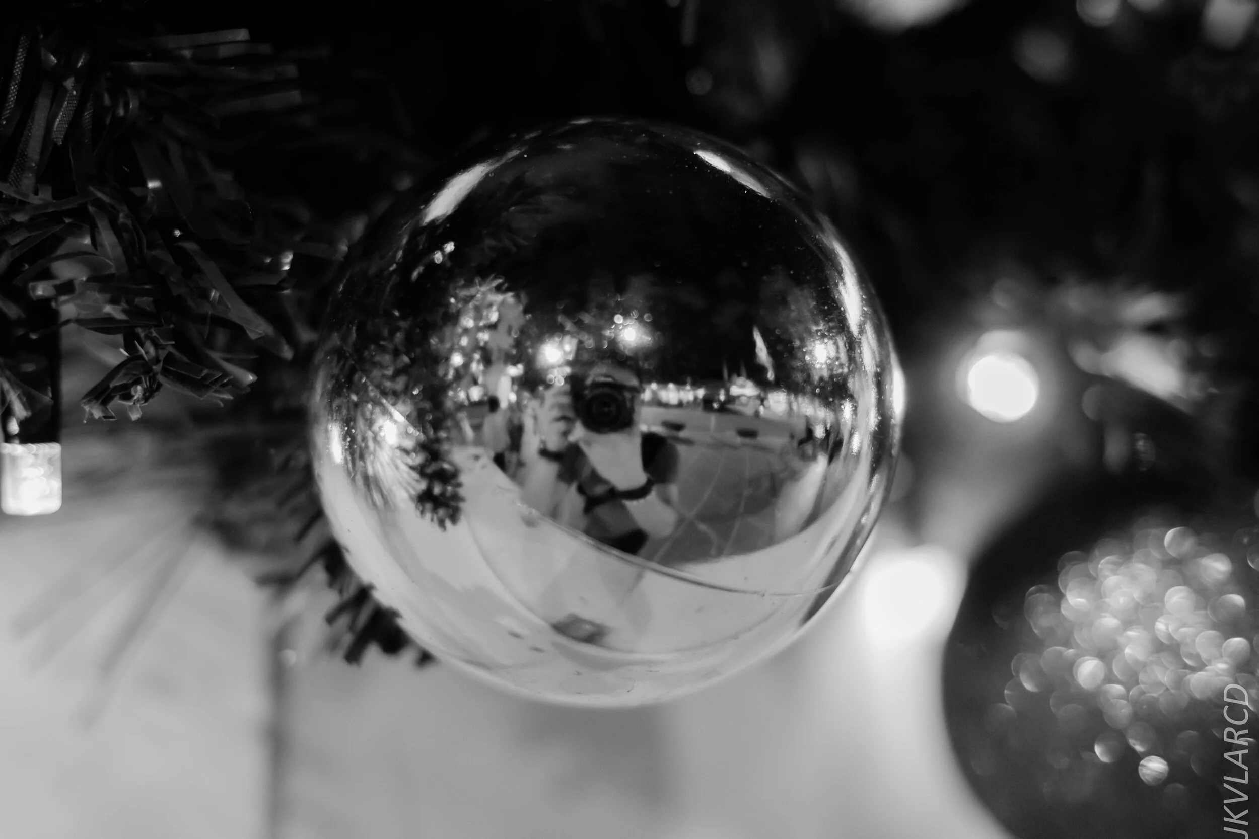 EOS 7D Mark II_2019_12_27_9088-2.jpg