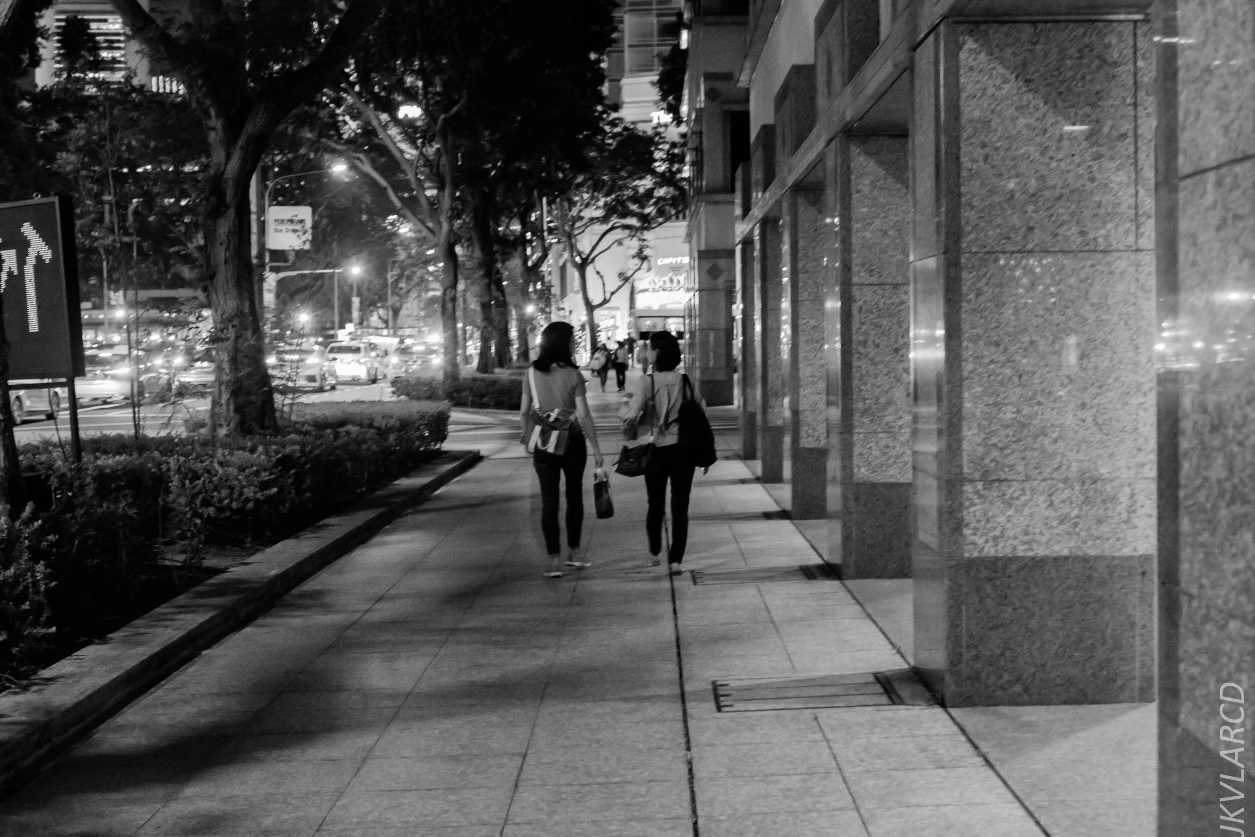 EOS 7D Mark II_2019_12_27_9086.jpg