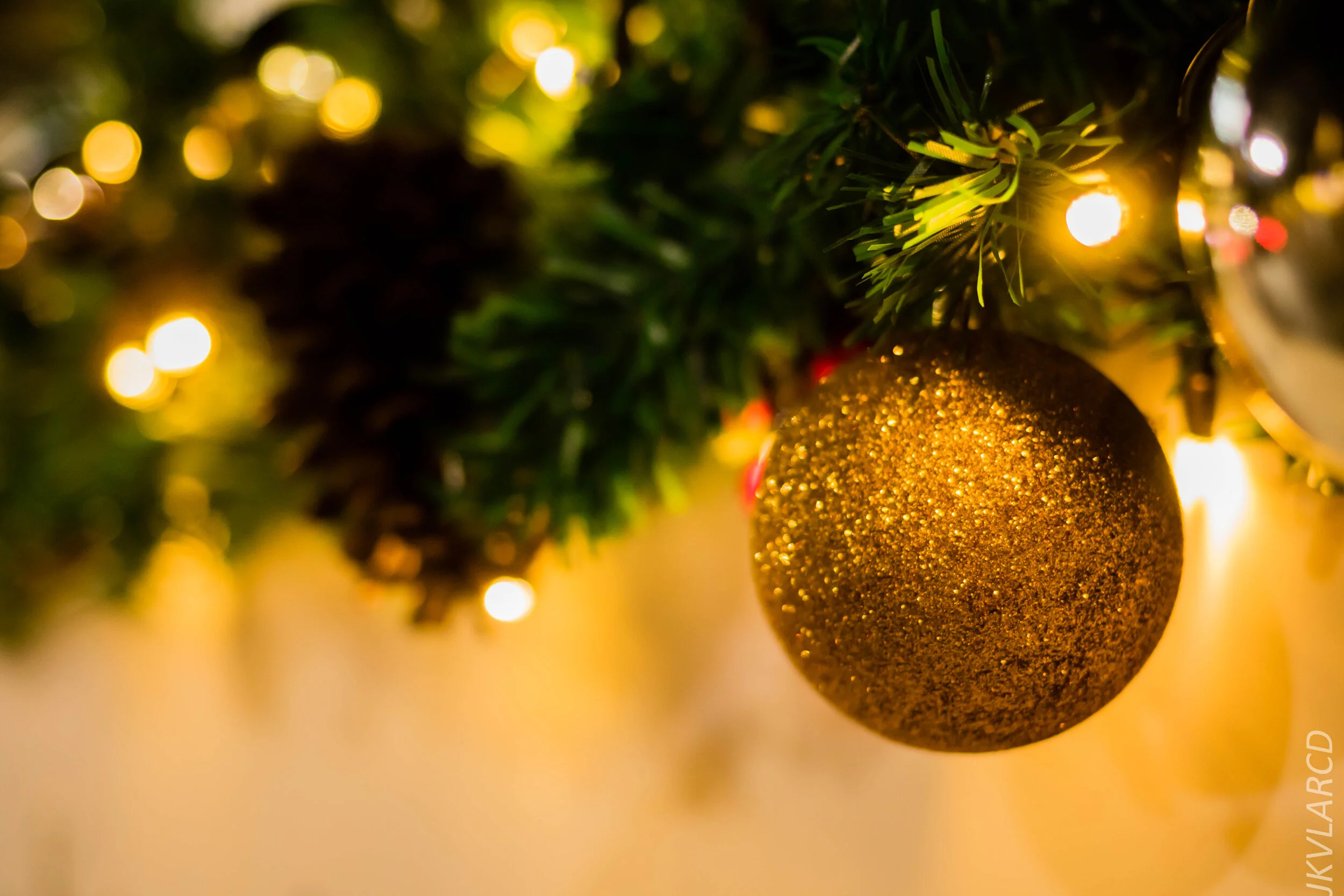 EOS 7D Mark II_2019_12_27_9089.jpg