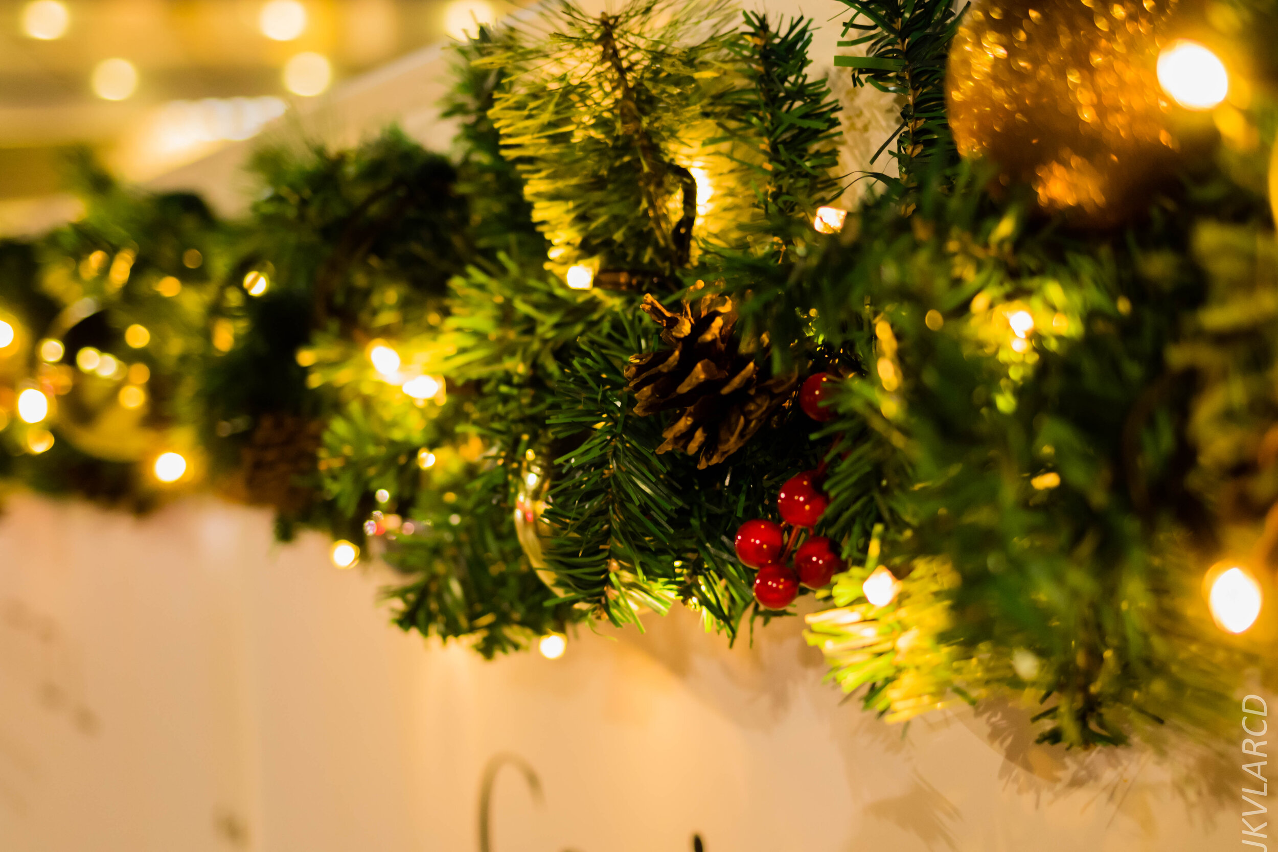 EOS 7D Mark II_2019_12_27_9091.jpg