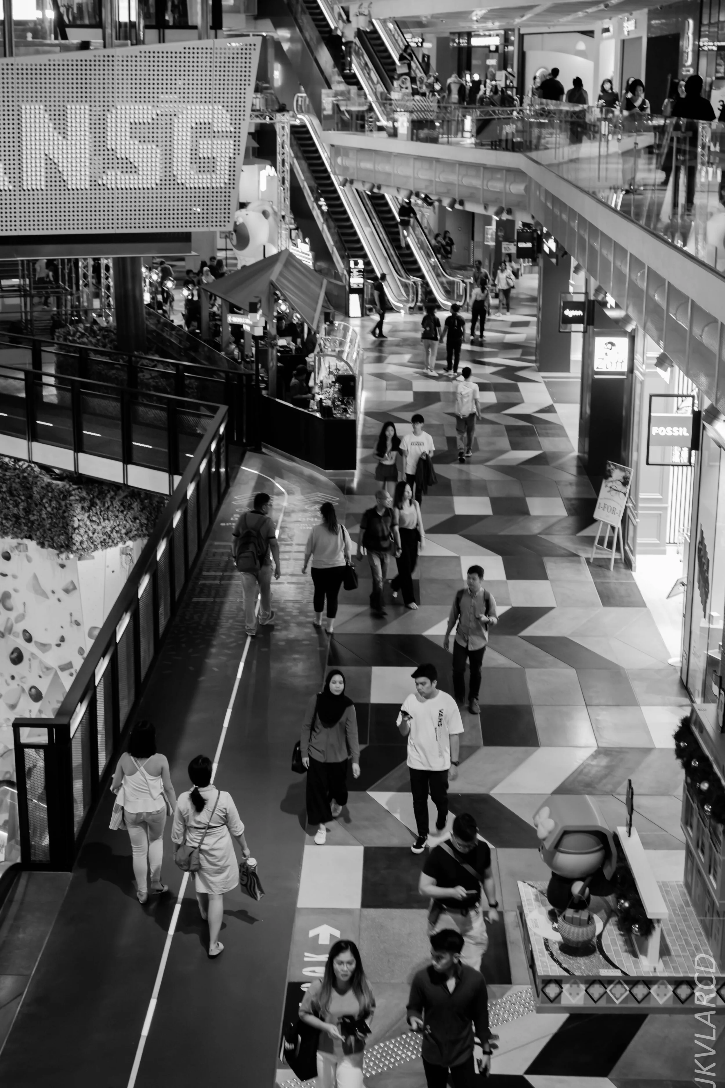 EOS 7D Mark II_2019_12_27_9097.jpg