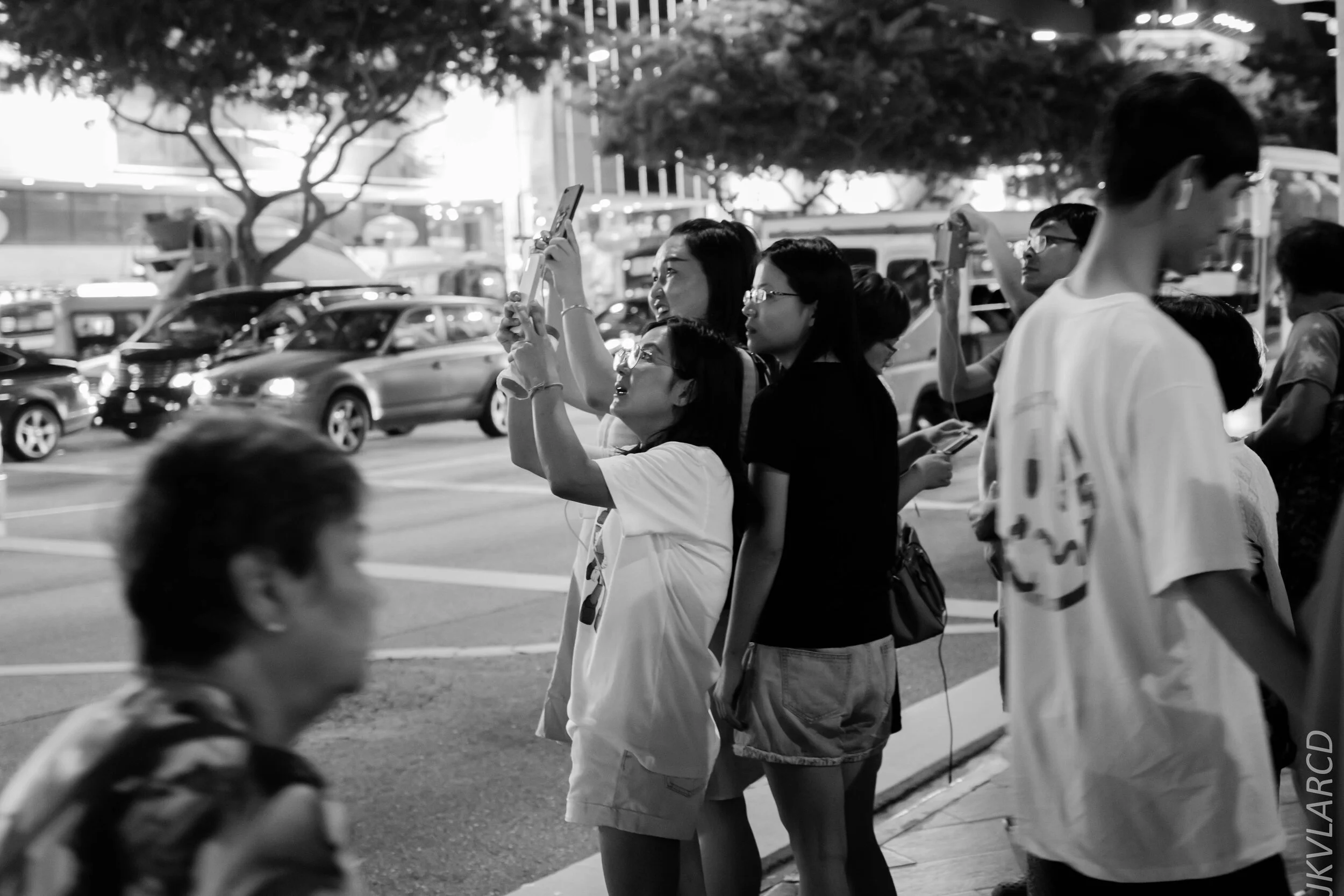 EOS 7D Mark II_2020_01_11_9195.jpg