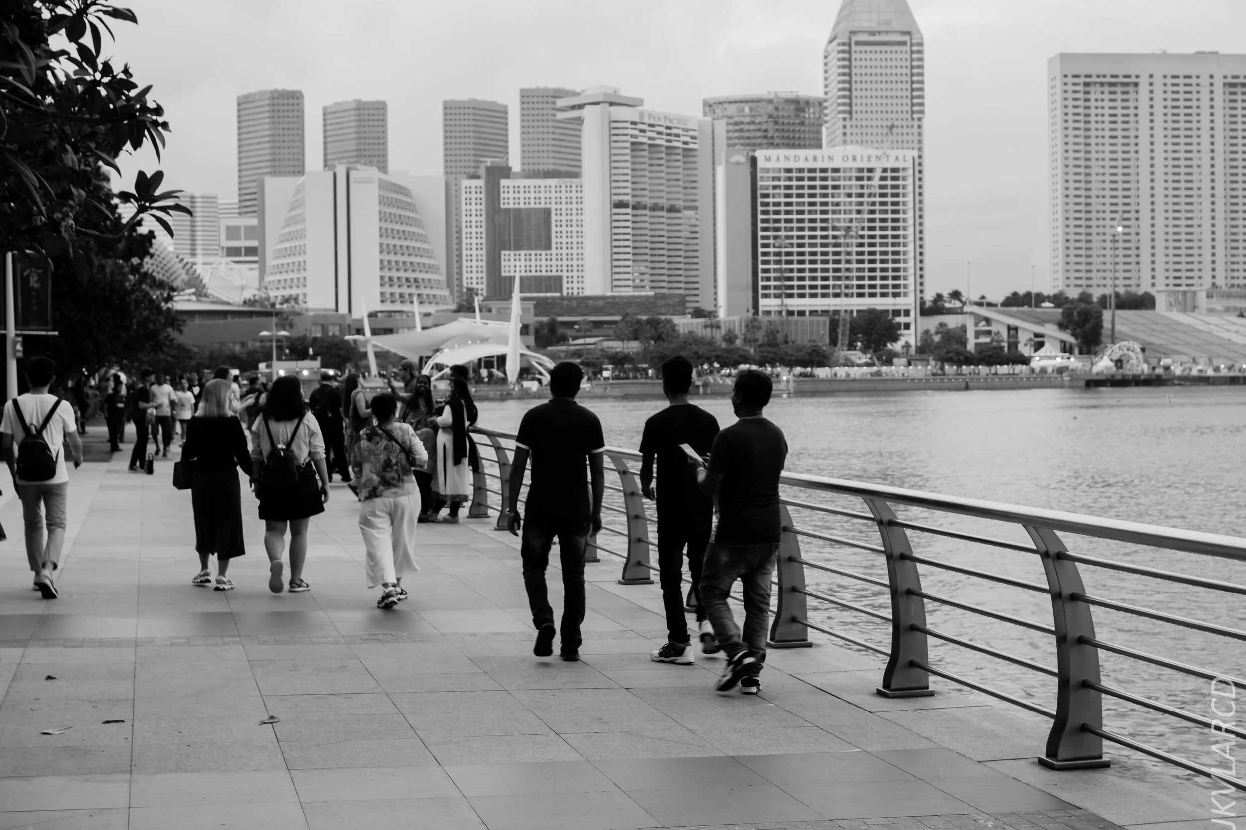 EOS 7D Mark II_2020_01_27_9327.jpg