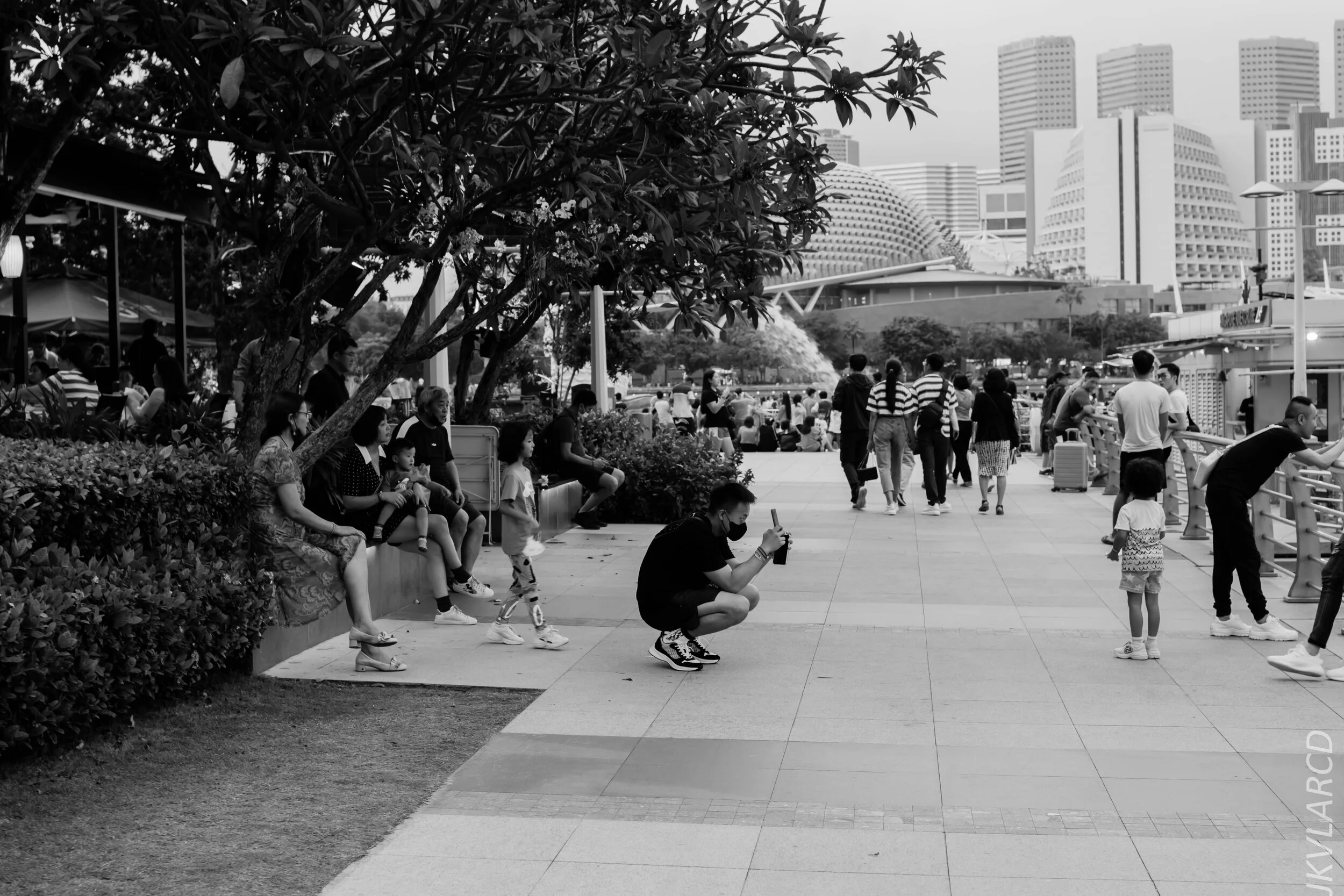 EOS 7D Mark II_2020_01_27_9335.jpg