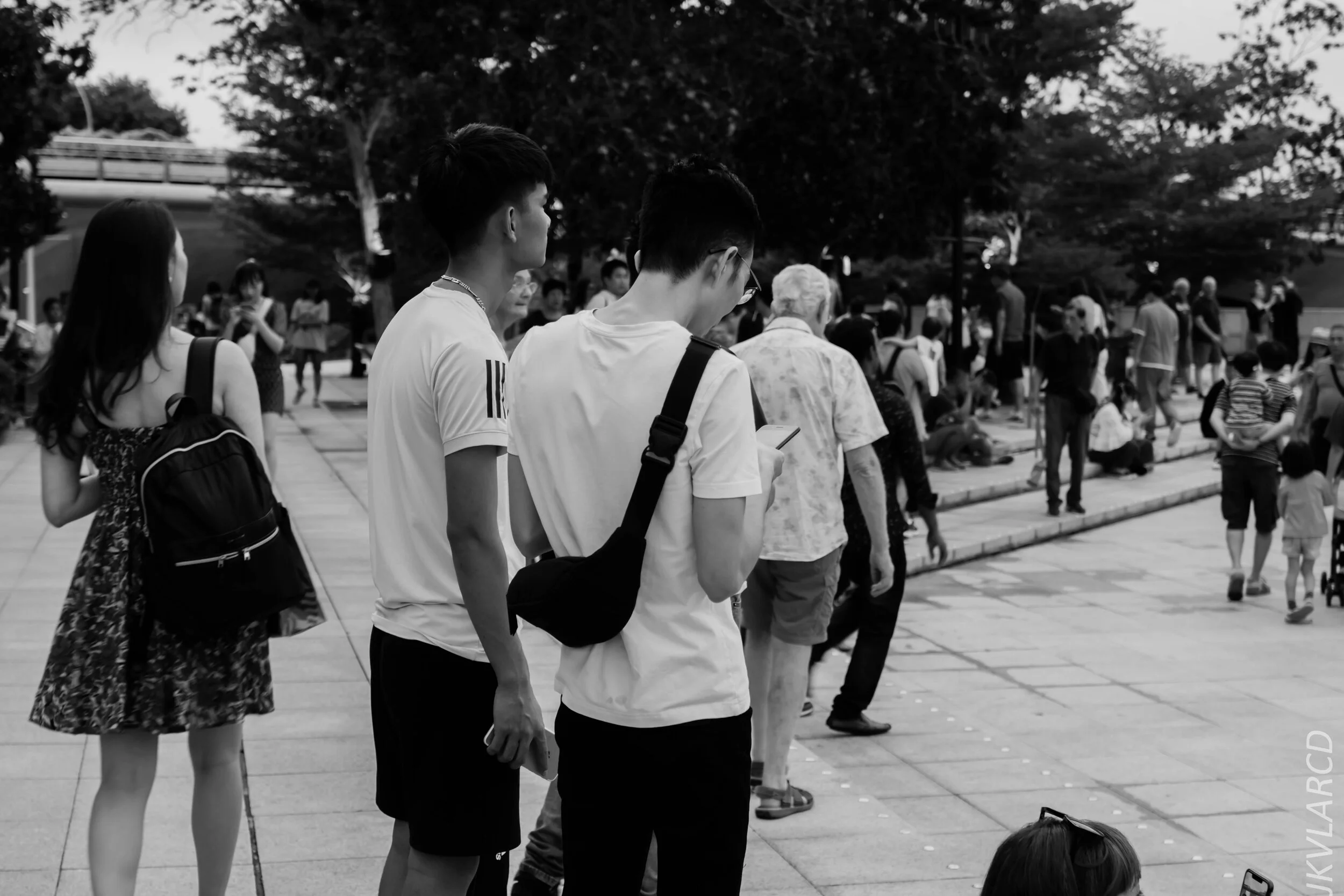 EOS 7D Mark II_2020_01_27_9340.jpg