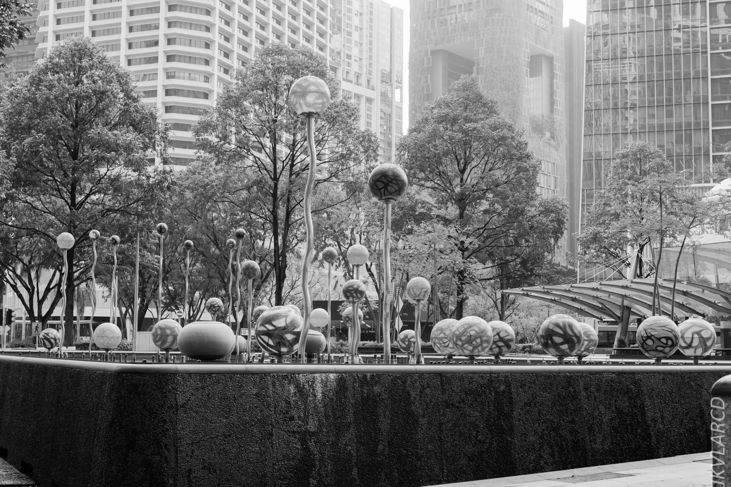 EOS 7D Mark II_2020_01_27_9266.jpg