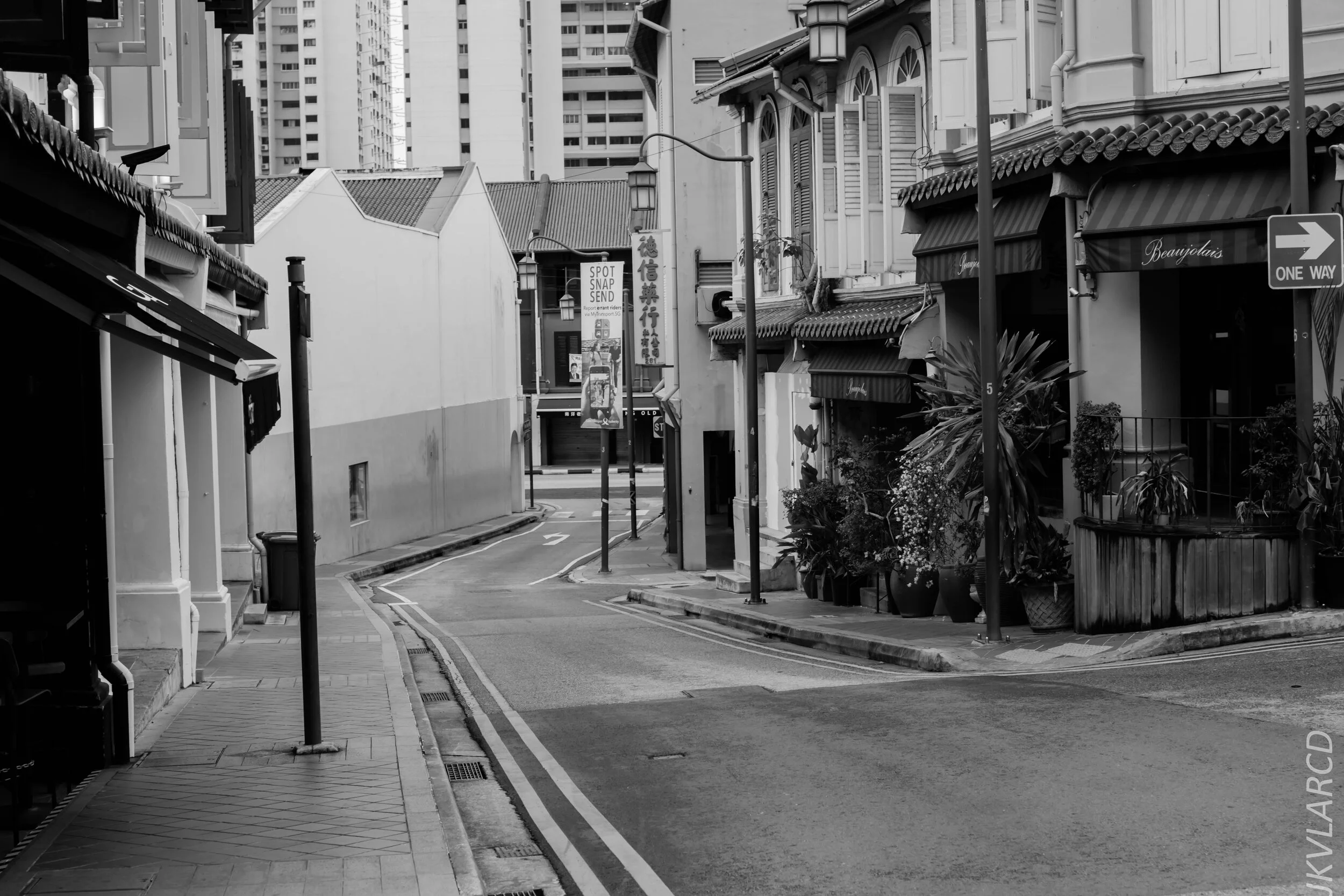 EOS 7D Mark II_2020_01_27_9295.jpg