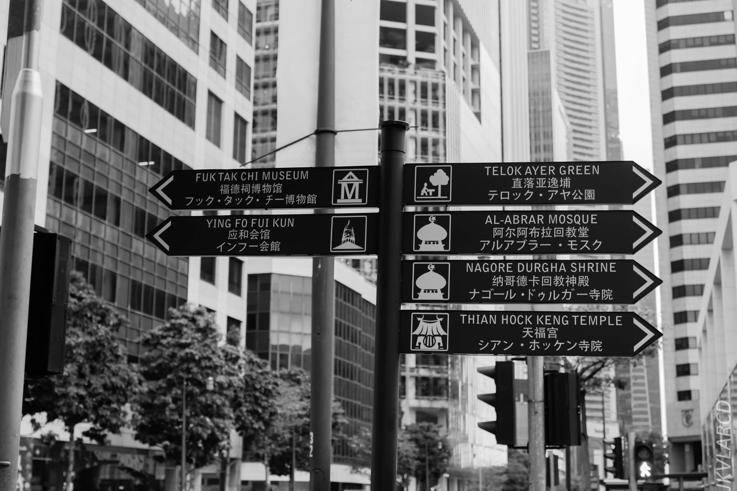 EOS 7D Mark II_2020_01_27_9305.jpg