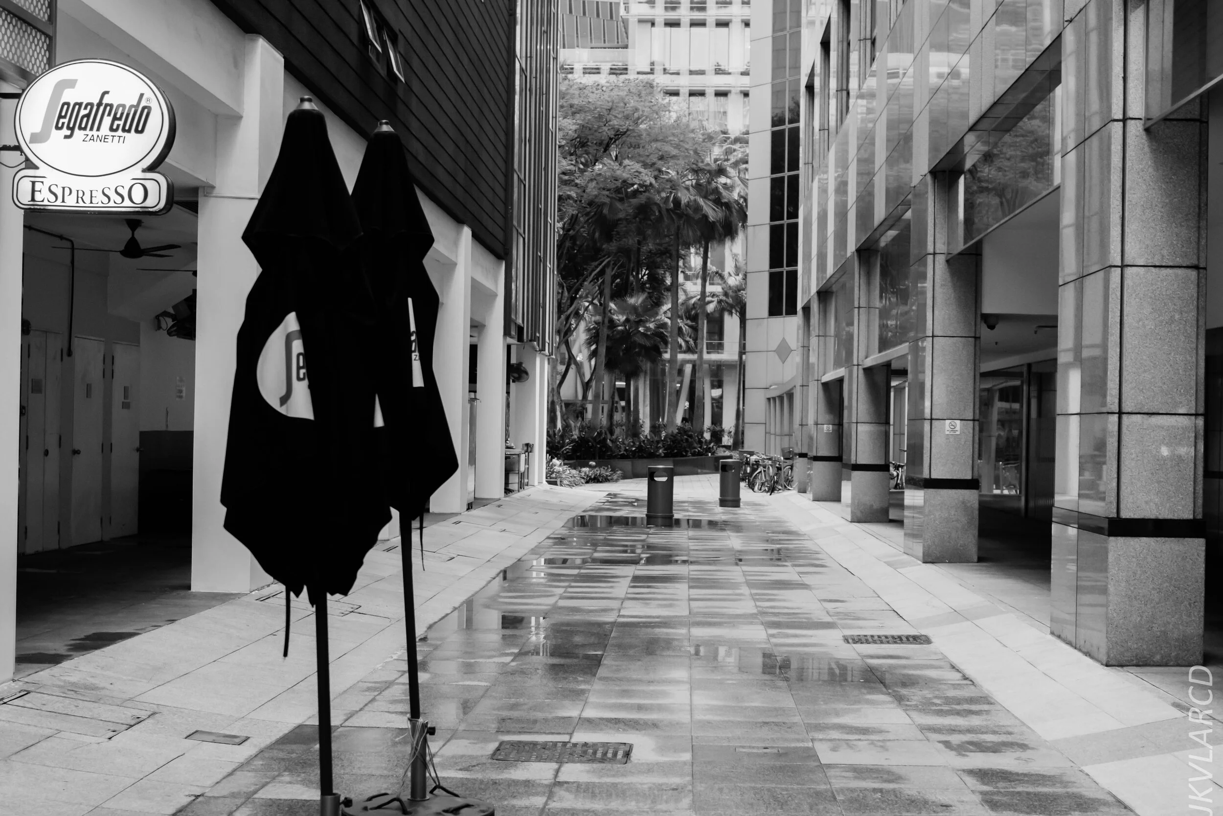 EOS 7D Mark II_2020_01_27_9306.jpg