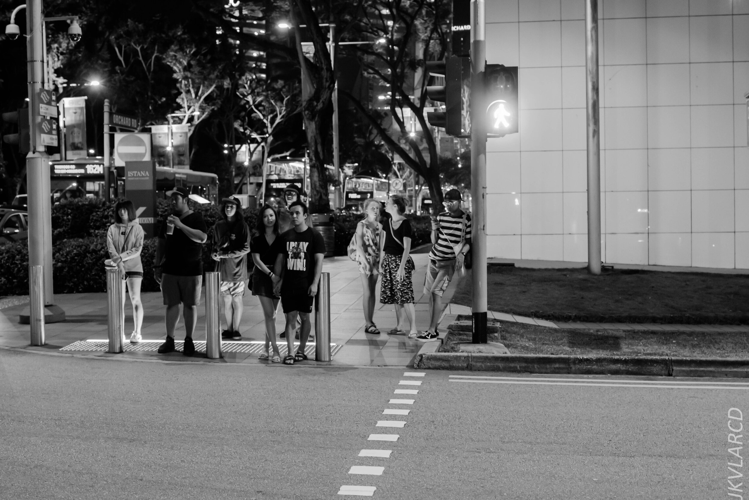 EOS 7D Mark II_2020_02_08_9578.jpg