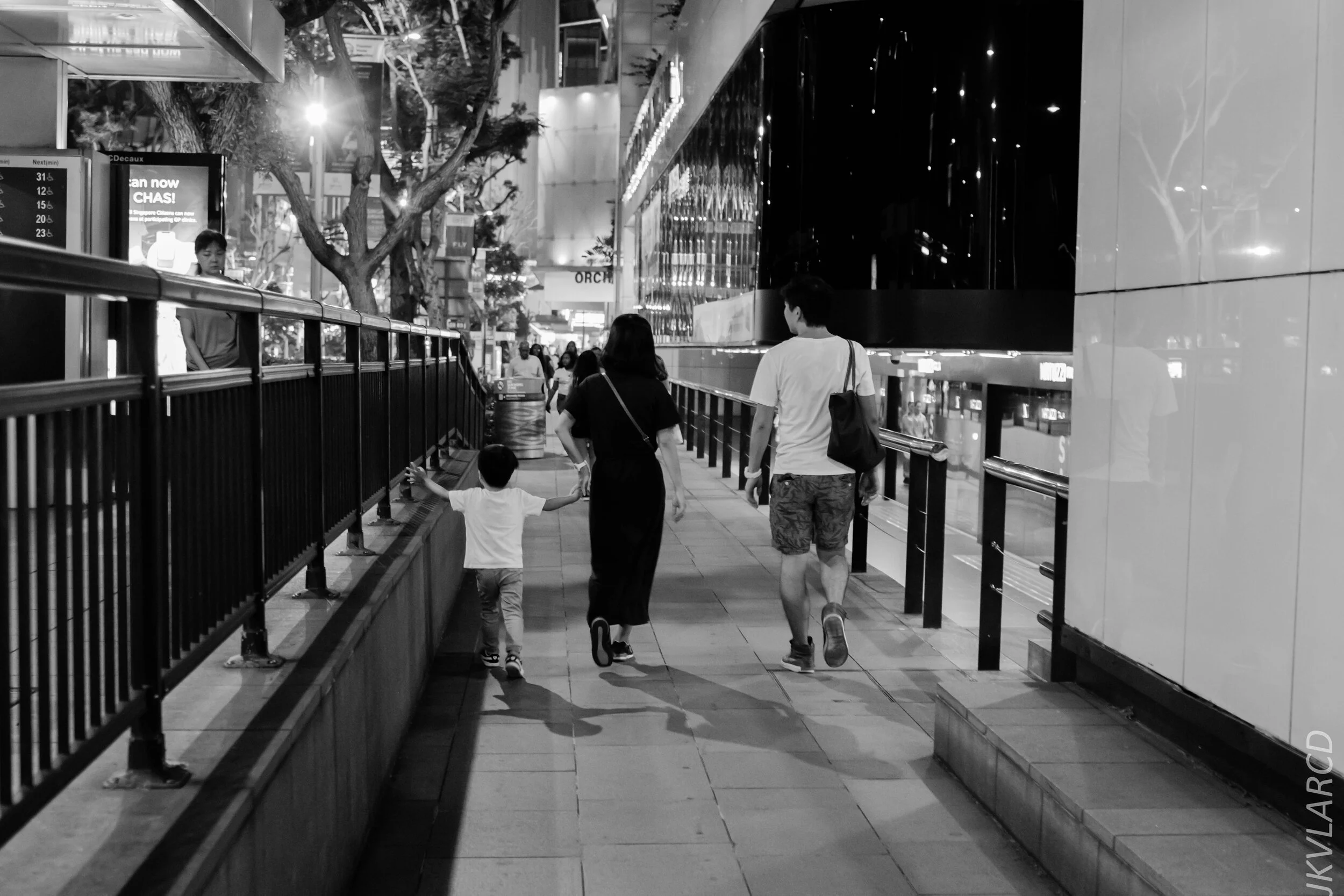 EOS 7D Mark II_2020_02_08_9583.jpg