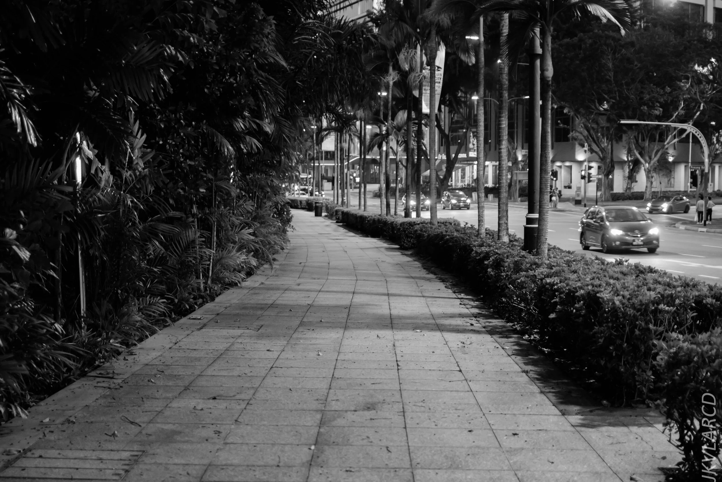 EOS 7D Mark II_2020_02_22_9631.jpg