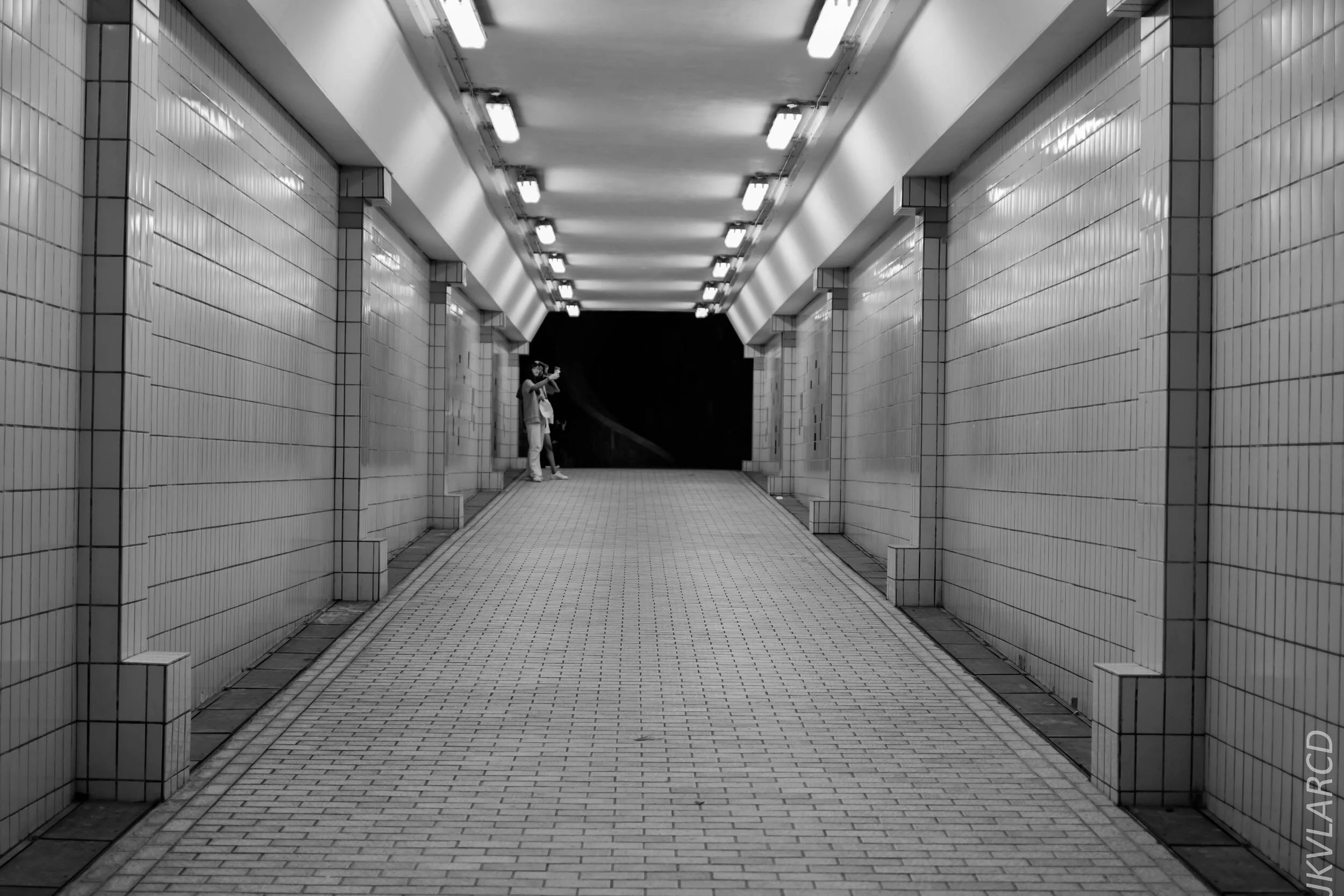 EOS 7D Mark II_2020_02_22_9645.jpg