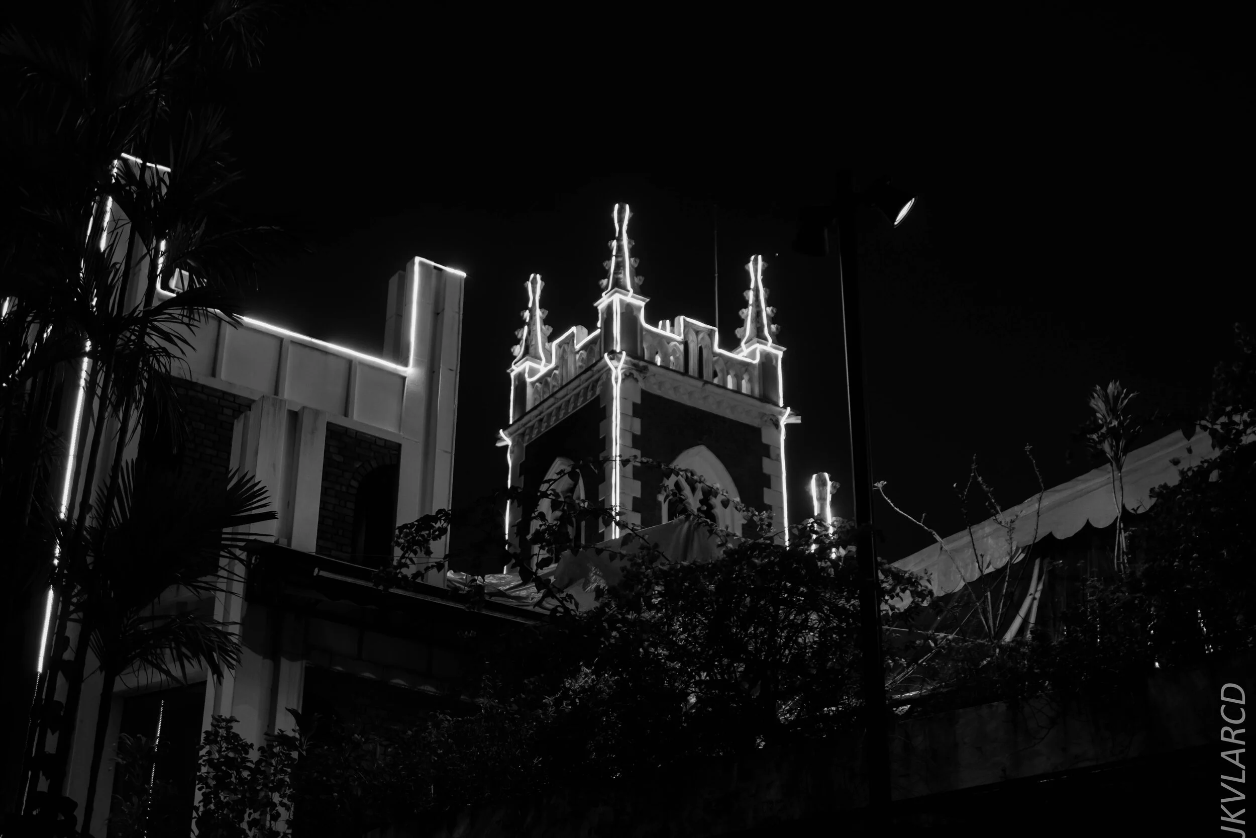 EOS 7D Mark II_2020_02_22_9649.jpg