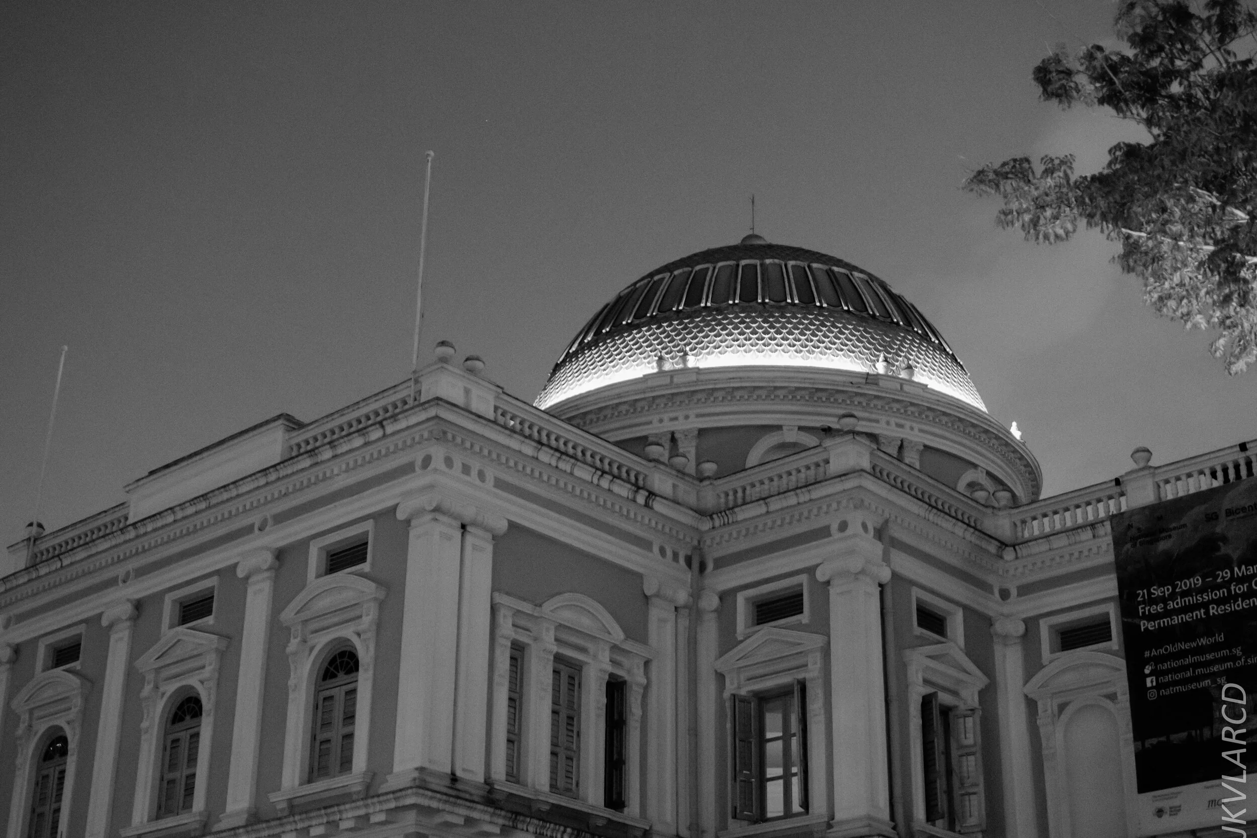 EOS 7D Mark II_2020_02_22_9651.jpg