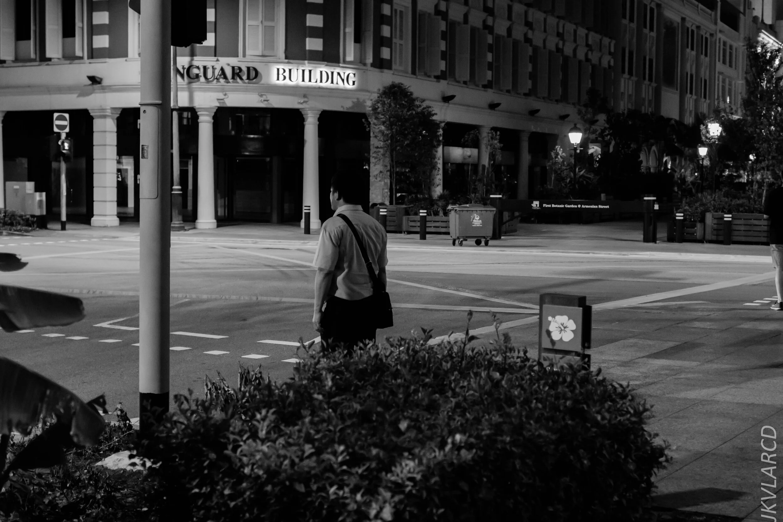 EOS 7D Mark II_2020_02_22_9657.jpg