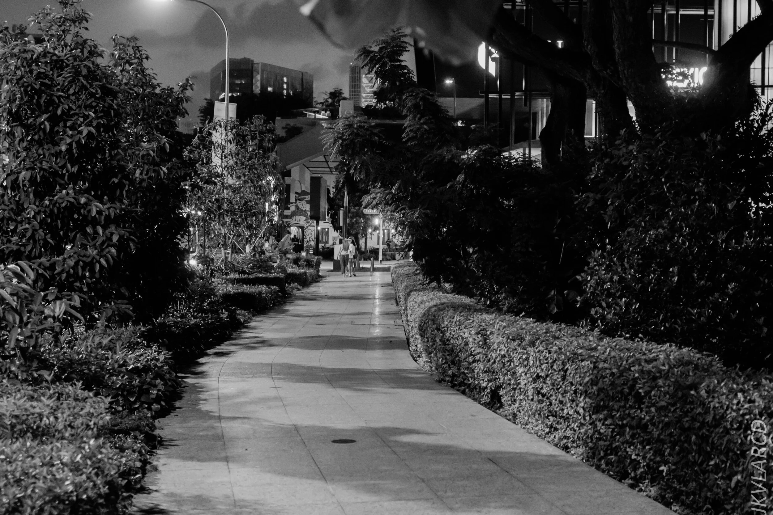 EOS 7D Mark II_2020_02_22_9656.jpg