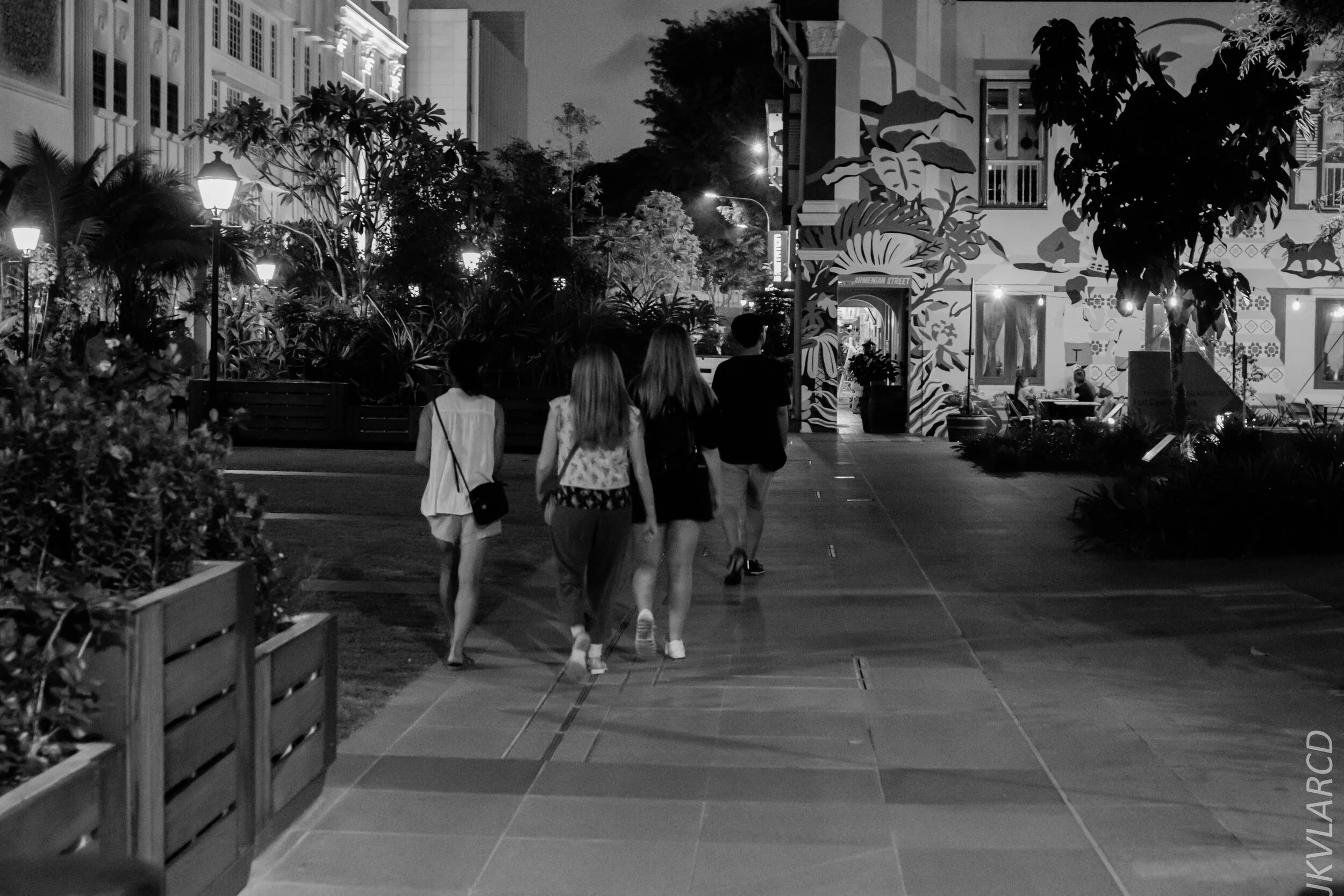 EOS 7D Mark II_2020_02_22_9661.jpg