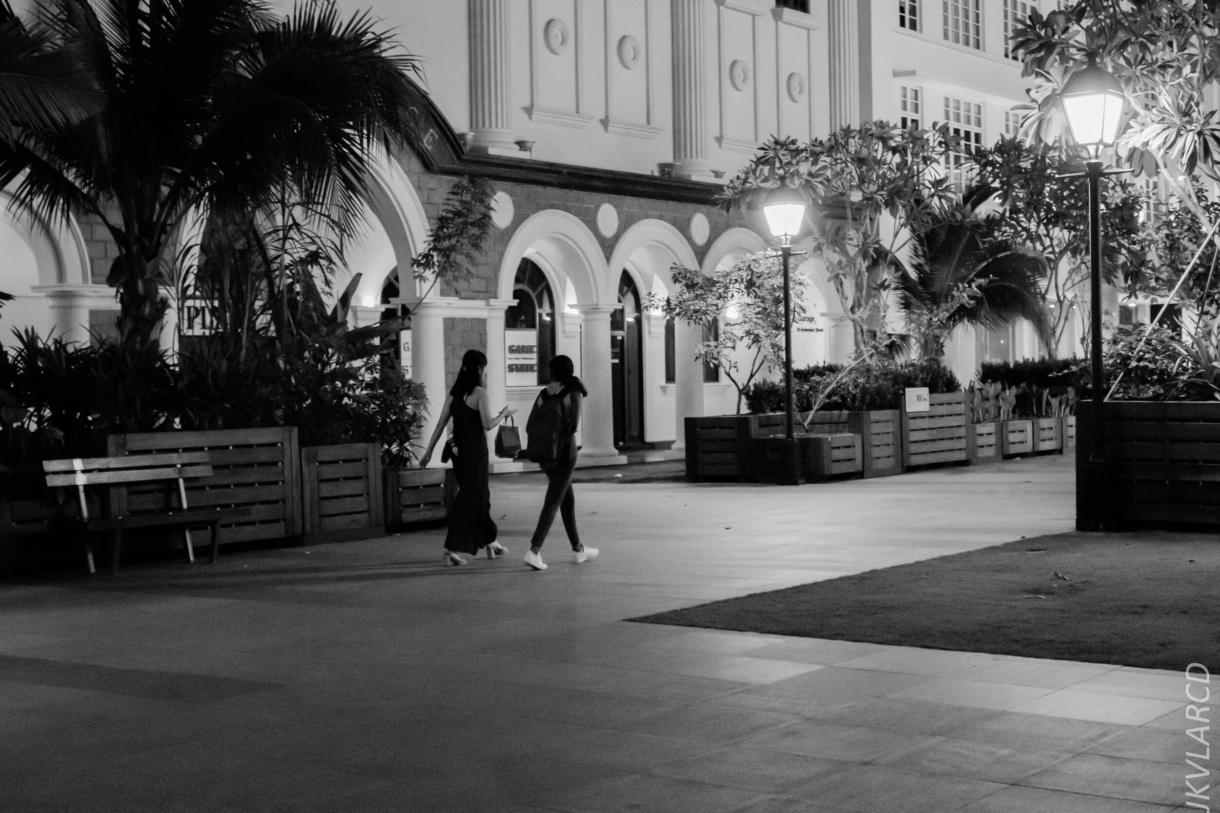 EOS 7D Mark II_2020_02_22_9666.jpg