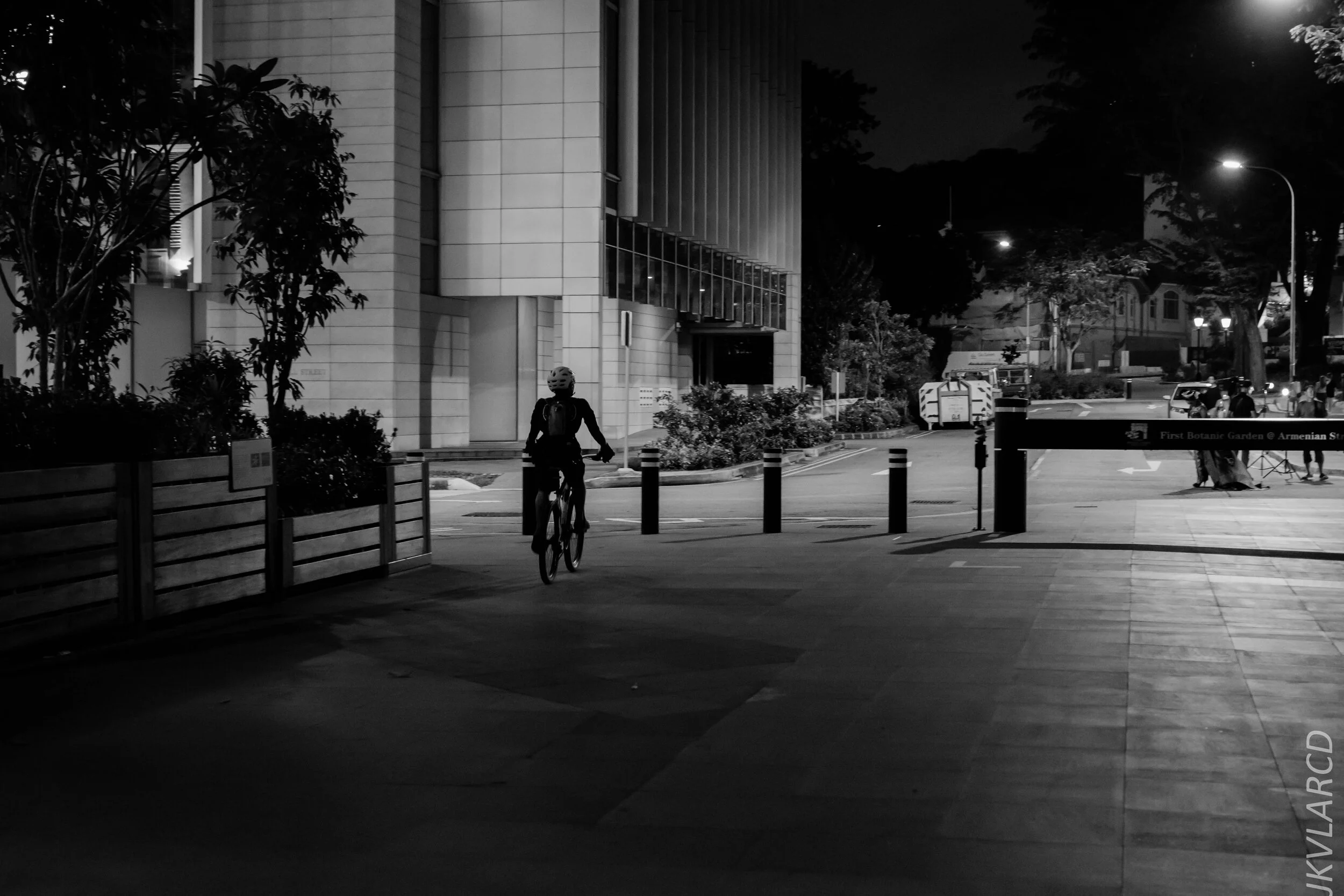 EOS 7D Mark II_2020_02_22_9670.jpg