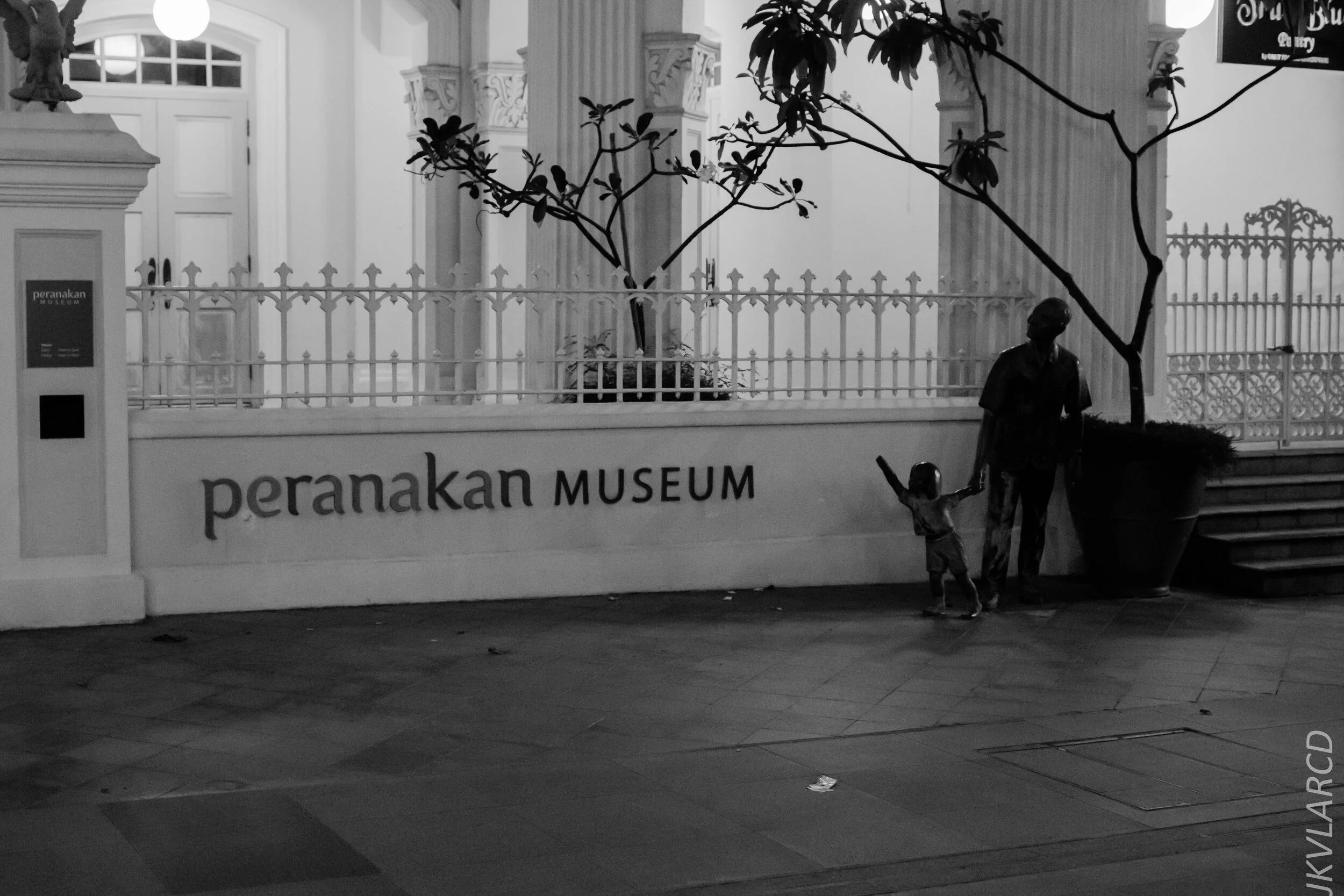 EOS 7D Mark II_2020_02_22_9672.jpg