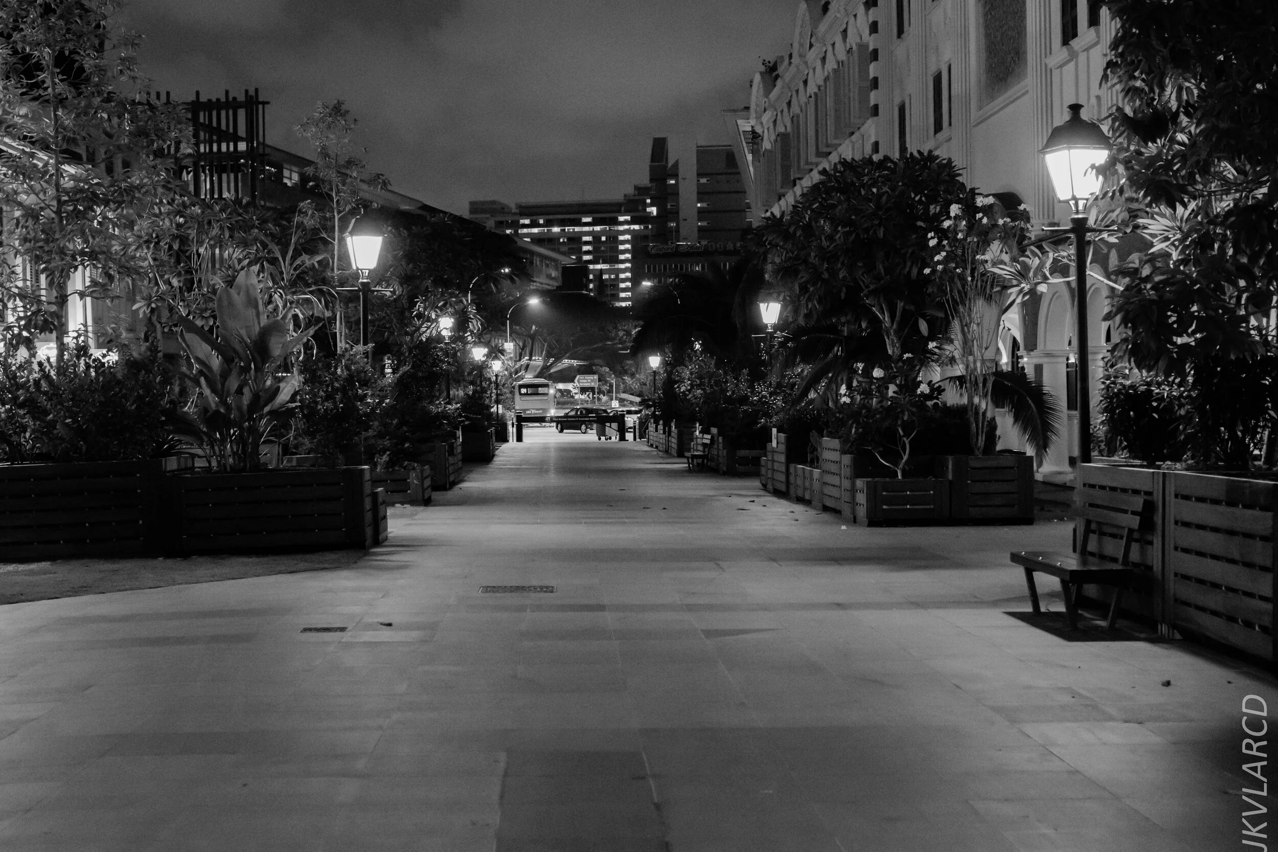 EOS 7D Mark II_2020_02_22_9673.jpg