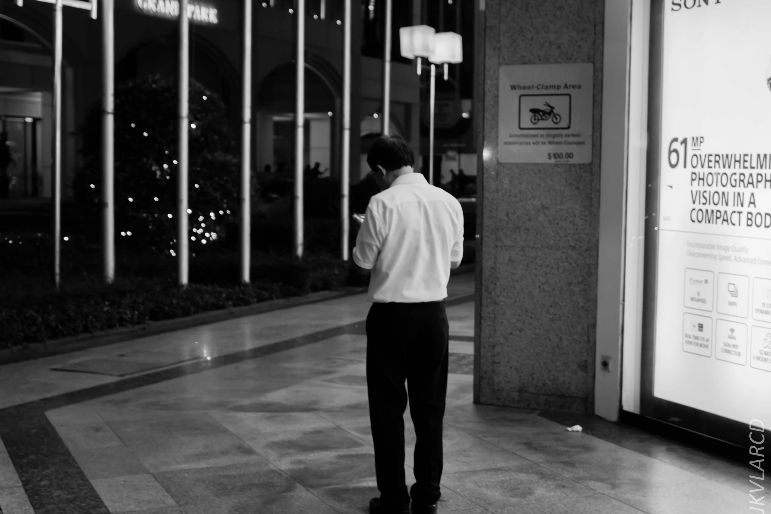 EOS 7D Mark II_2020_02_22_9685.jpg