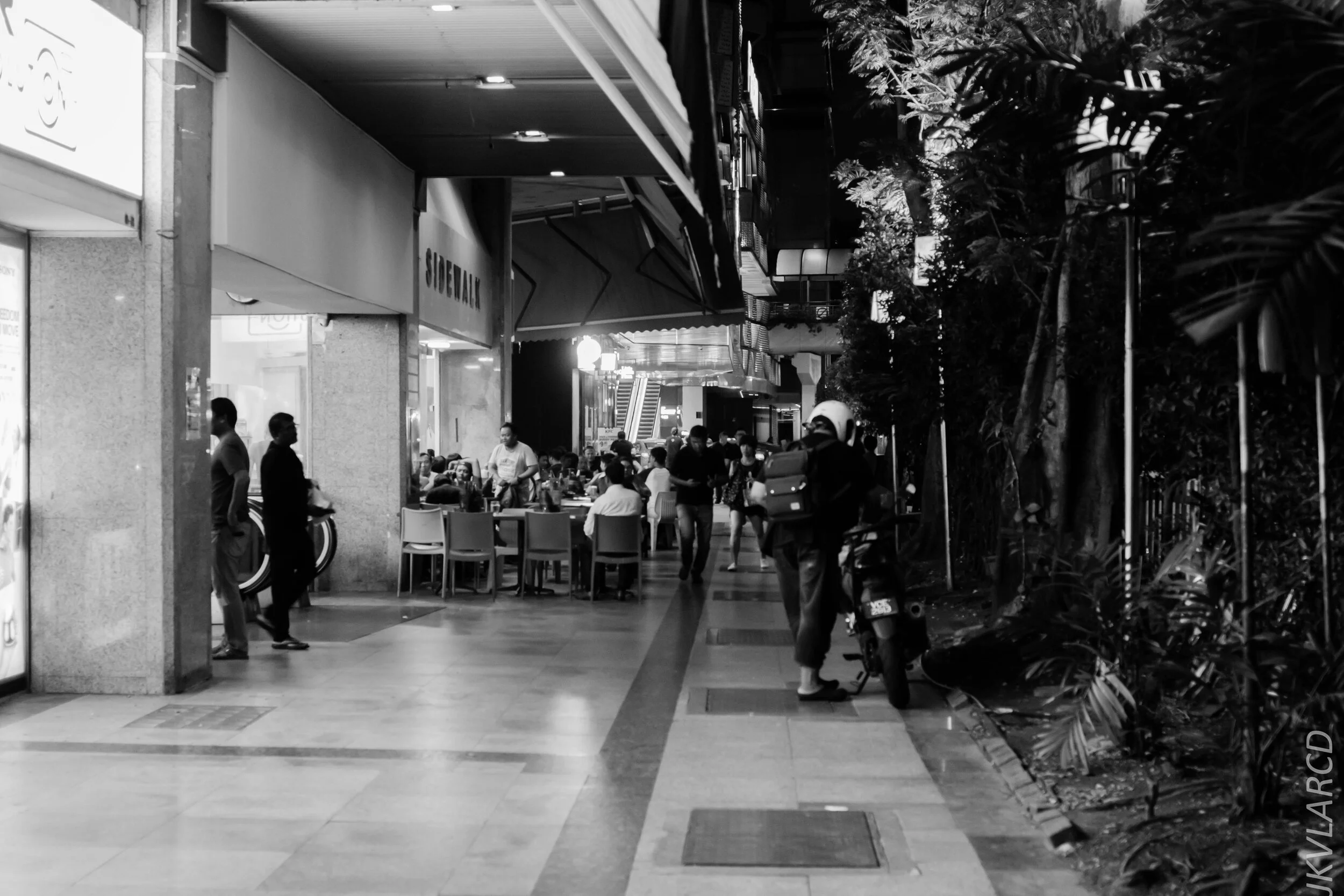 EOS 7D Mark II_2020_02_22_9684.jpg