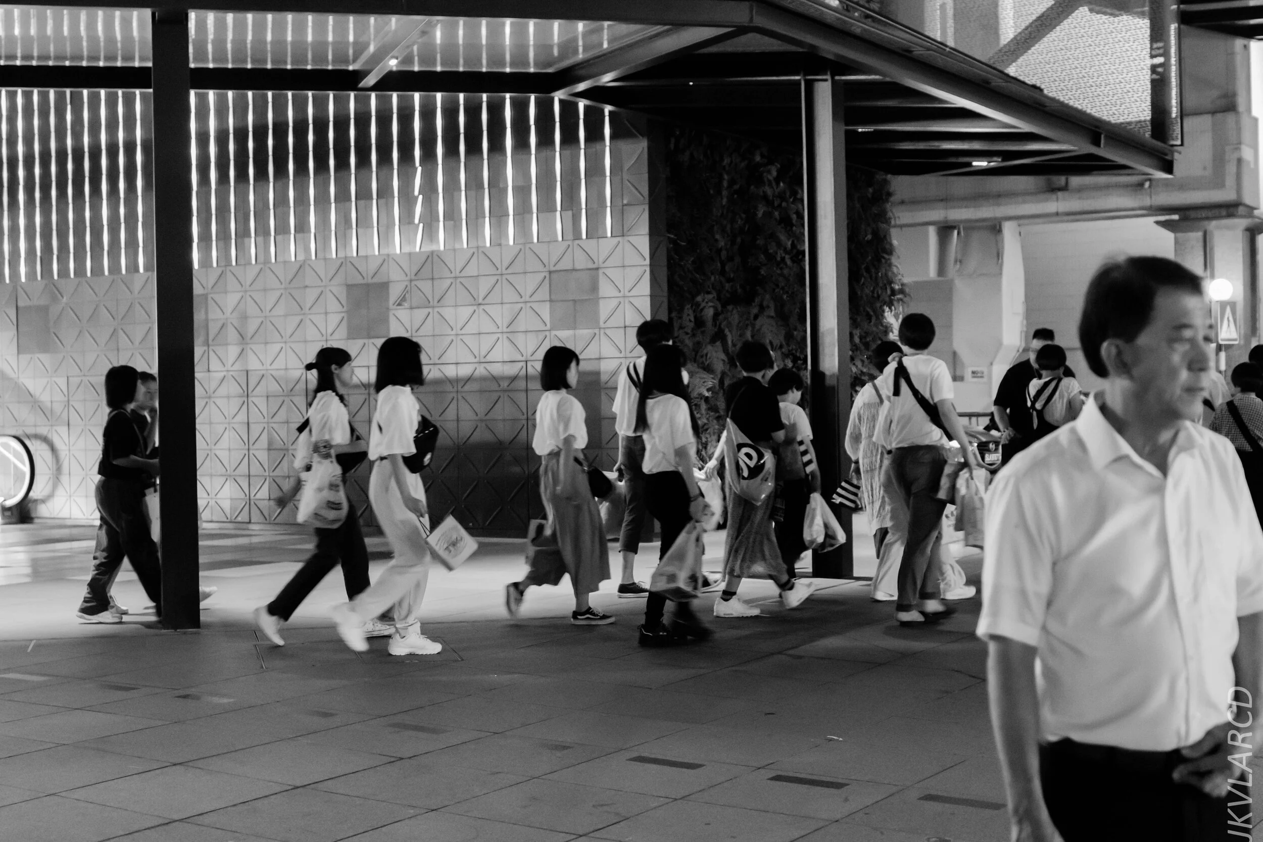 EOS 7D Mark II_2020_02_22_9695.jpg