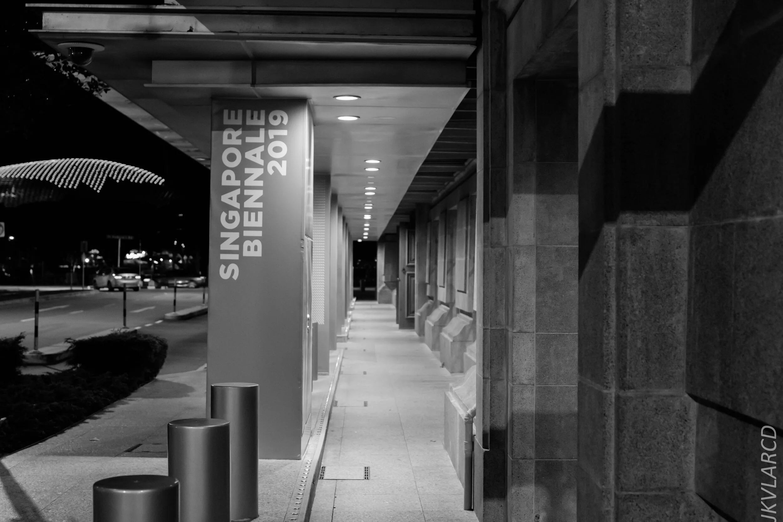 EOS 7D Mark II_2020_02_22_9698.jpg