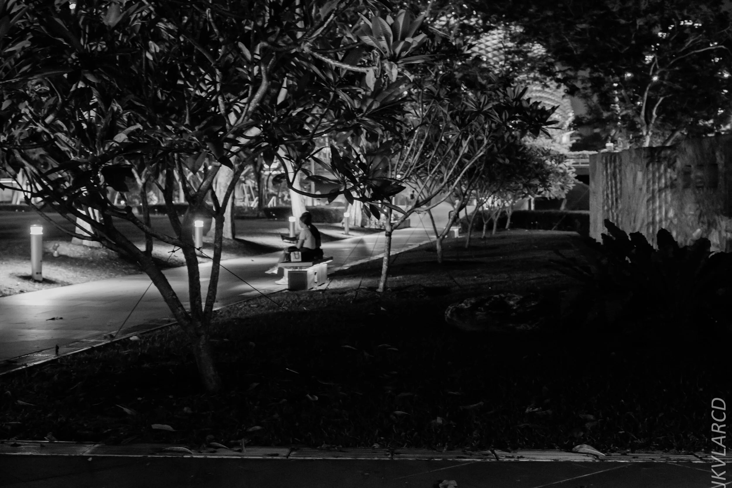 EOS 7D Mark II_2020_02_22_9715.jpg