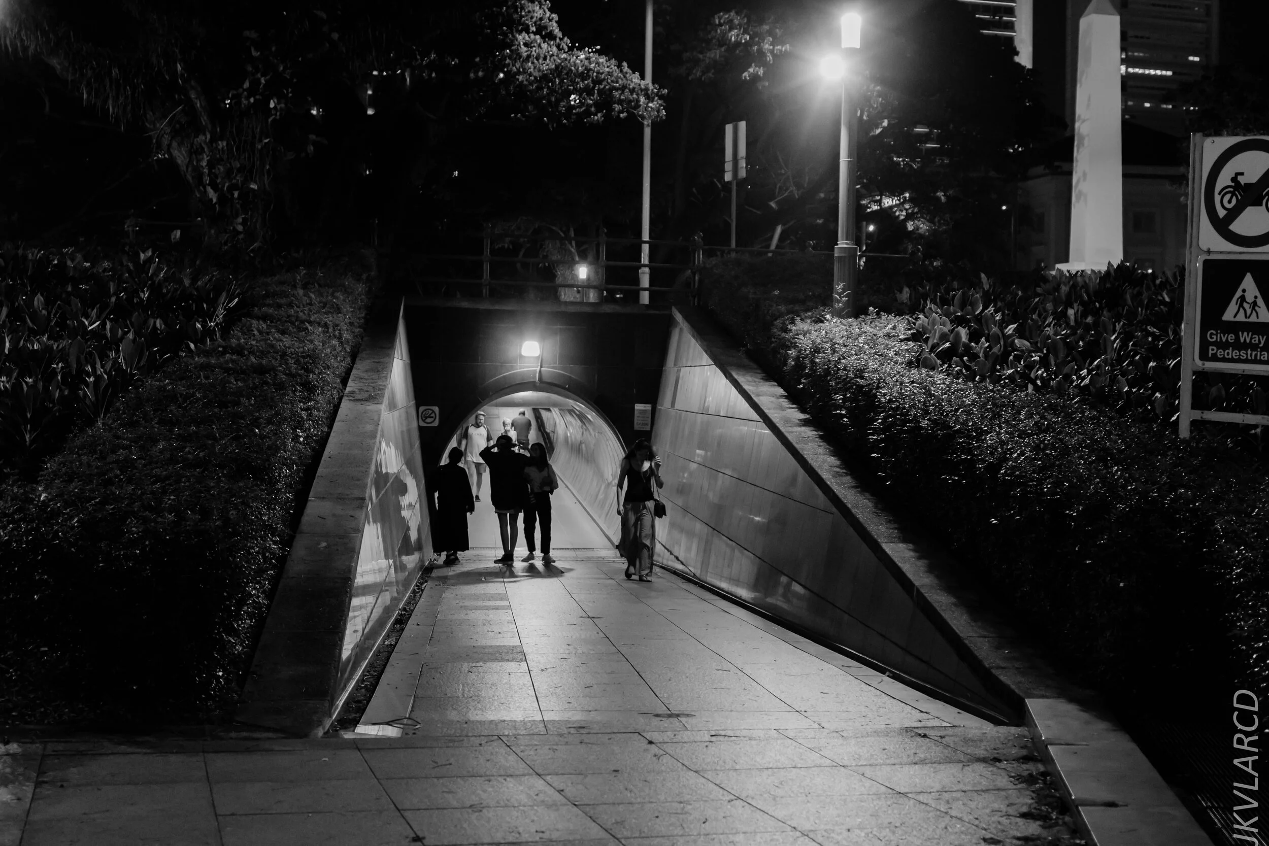 EOS 7D Mark II_2020_02_22_9728.jpg