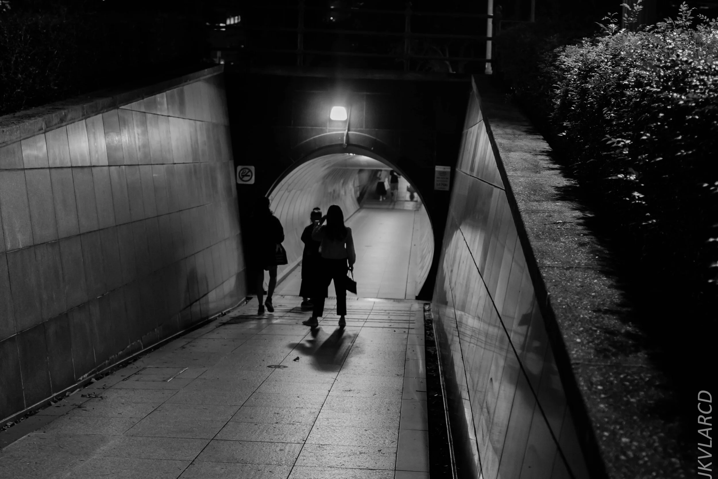 EOS 7D Mark II_2020_02_22_9730.jpg